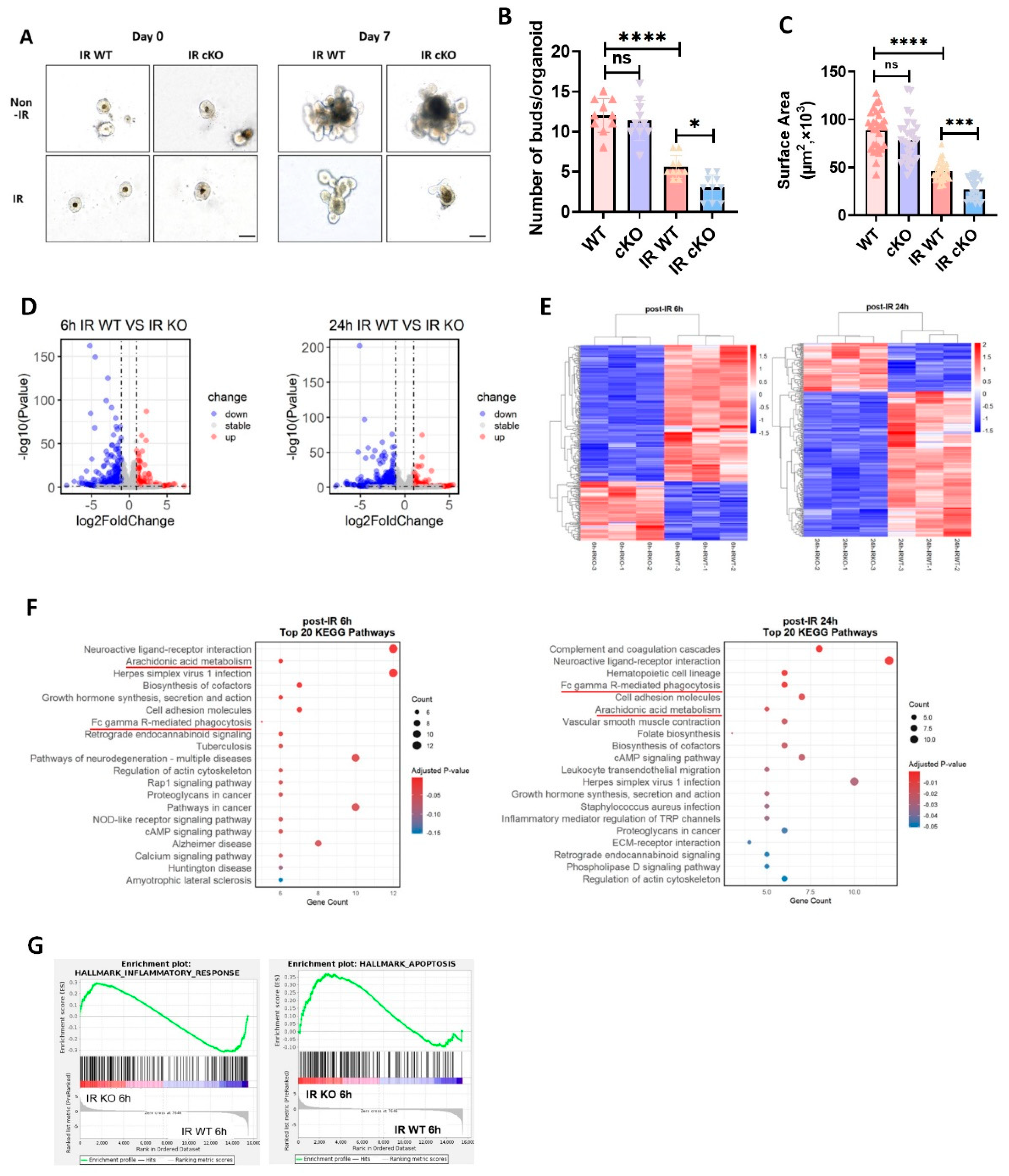 Preprints 201422 g004