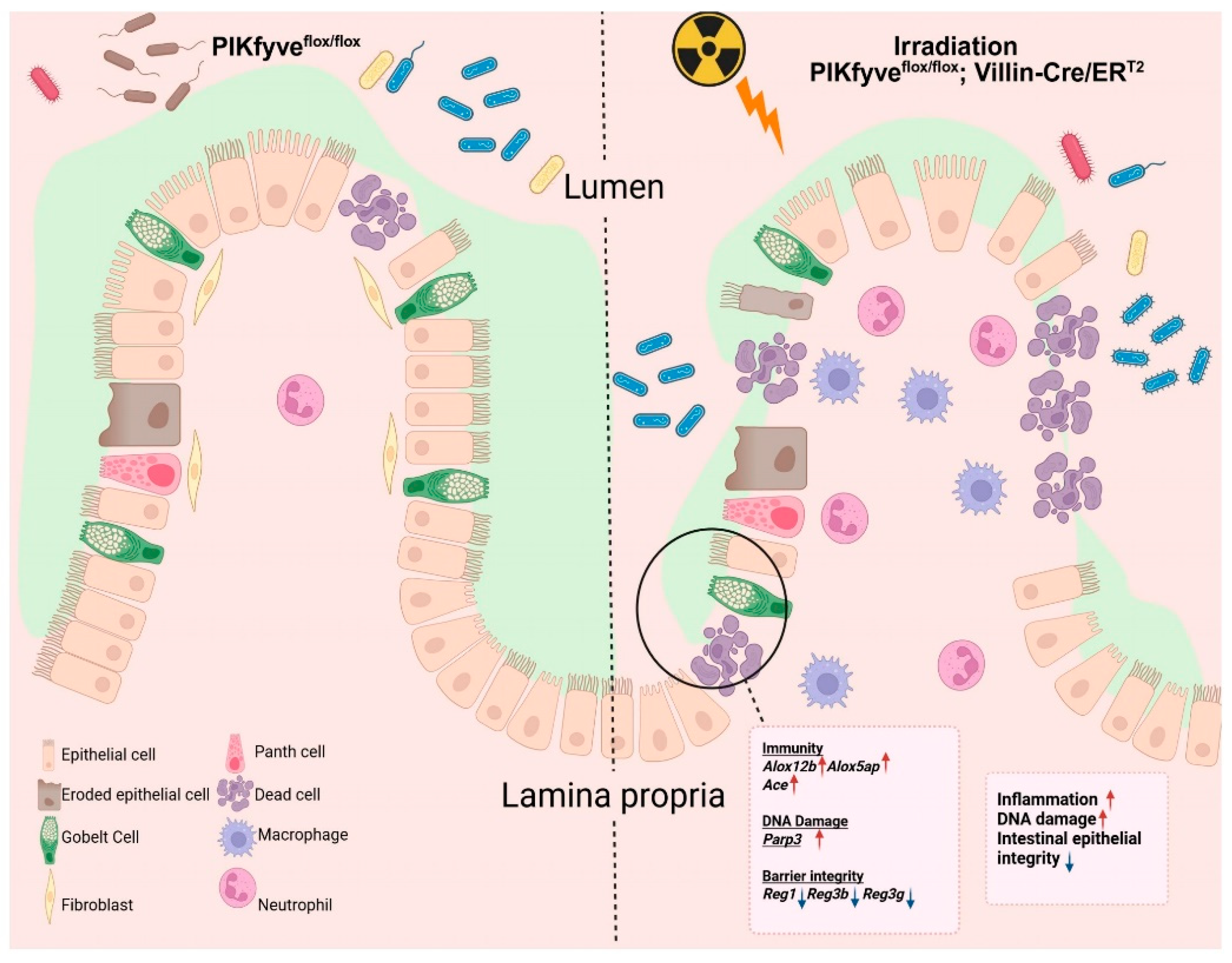 Preprints 201422 g005