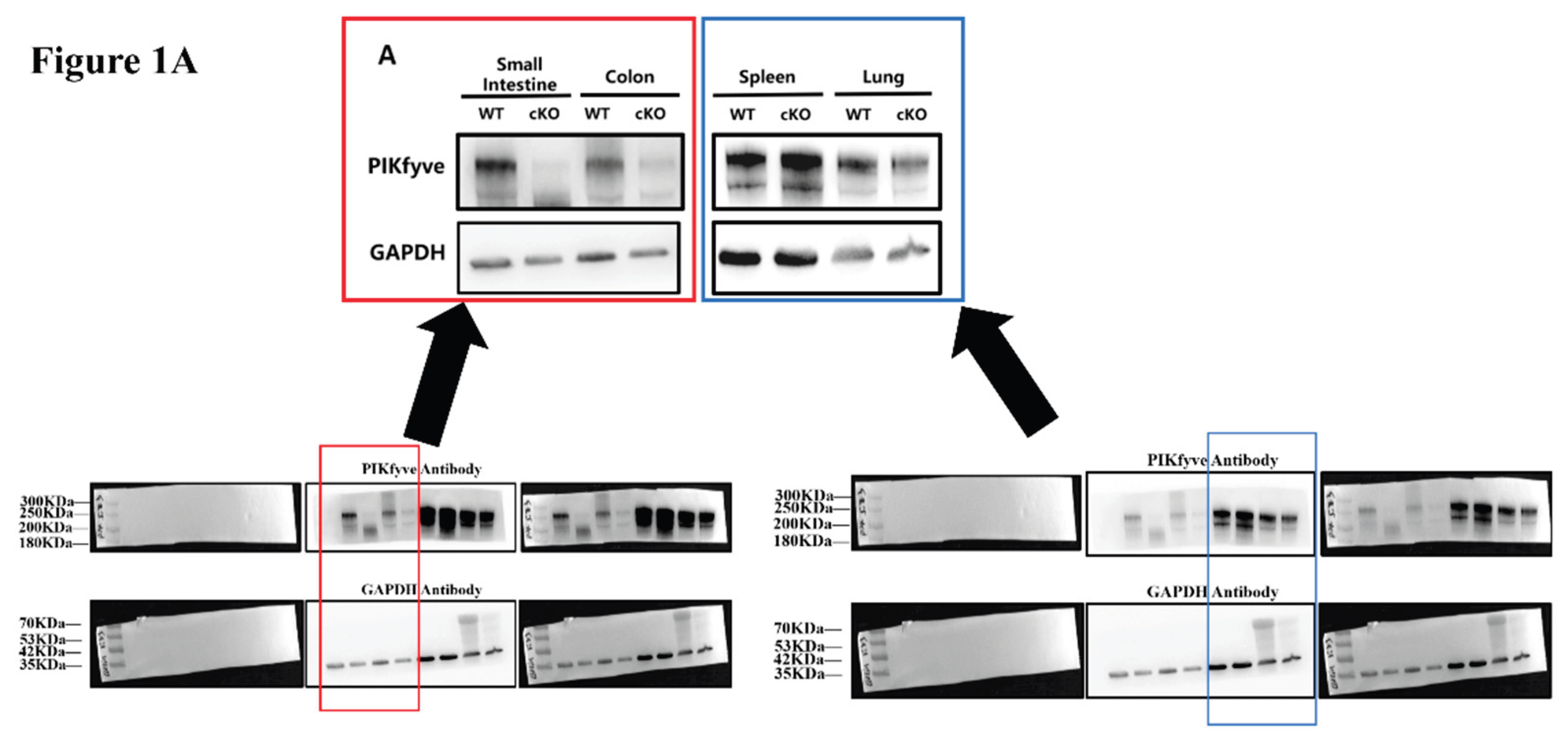 Preprints 201422 g0a1