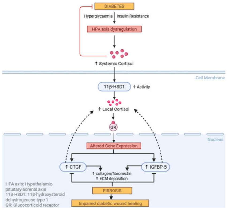 Preprints 226587 g003 Preprints 226587 g003