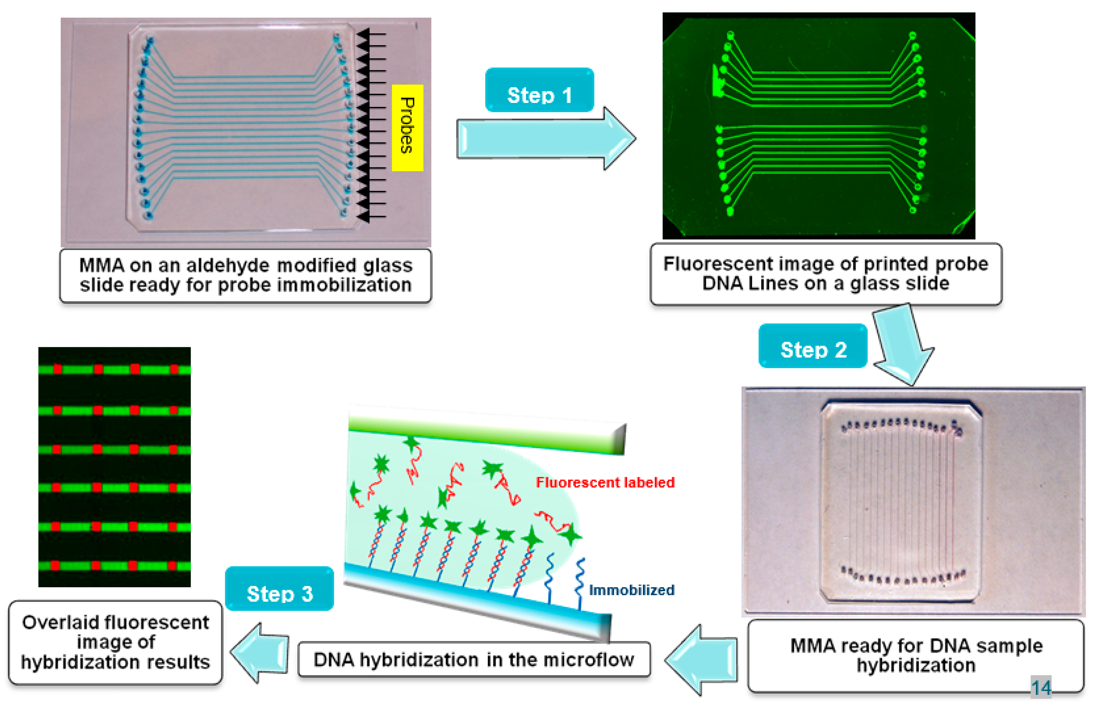 Preprints 194852 g001