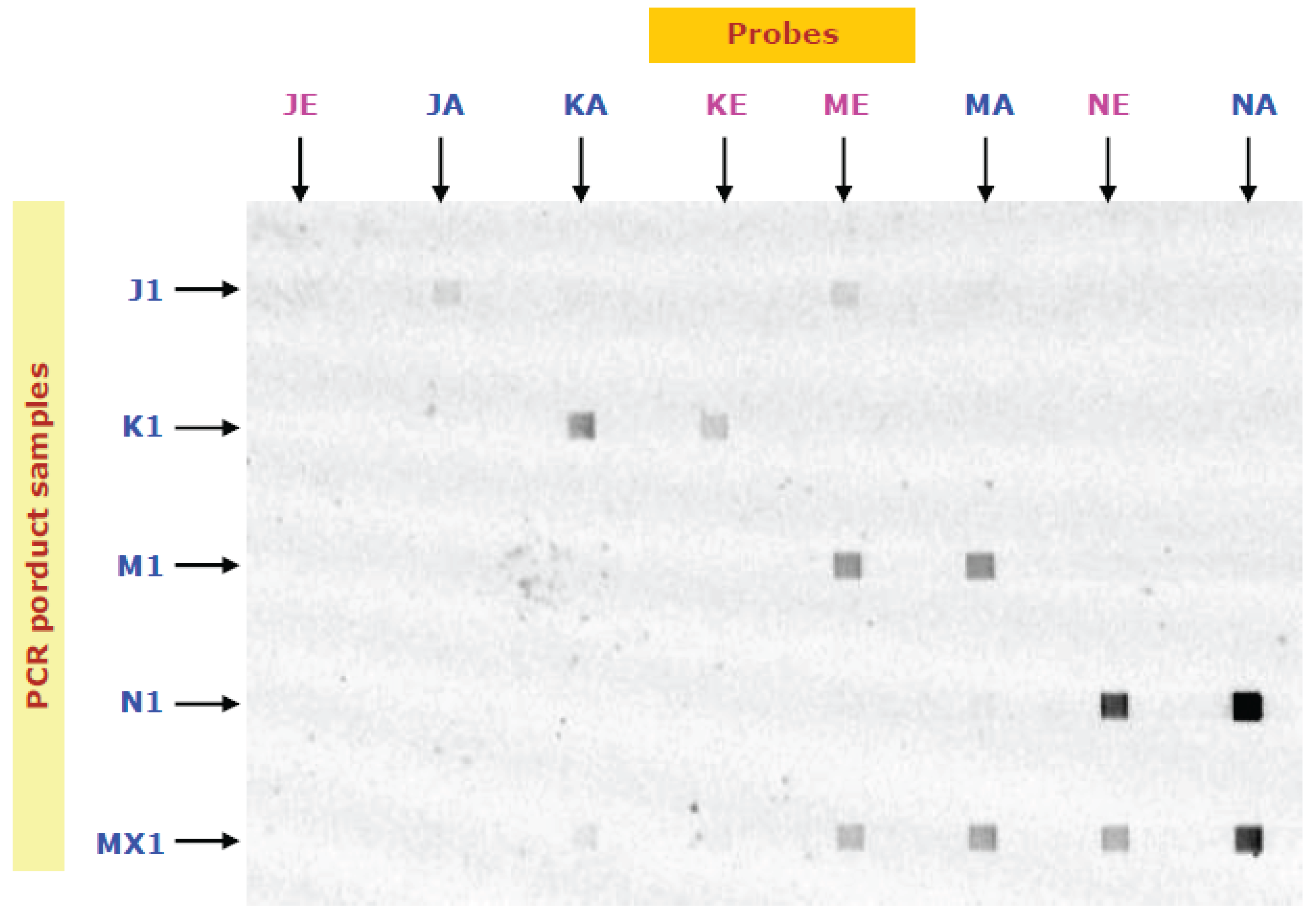 Preprints 194852 g002