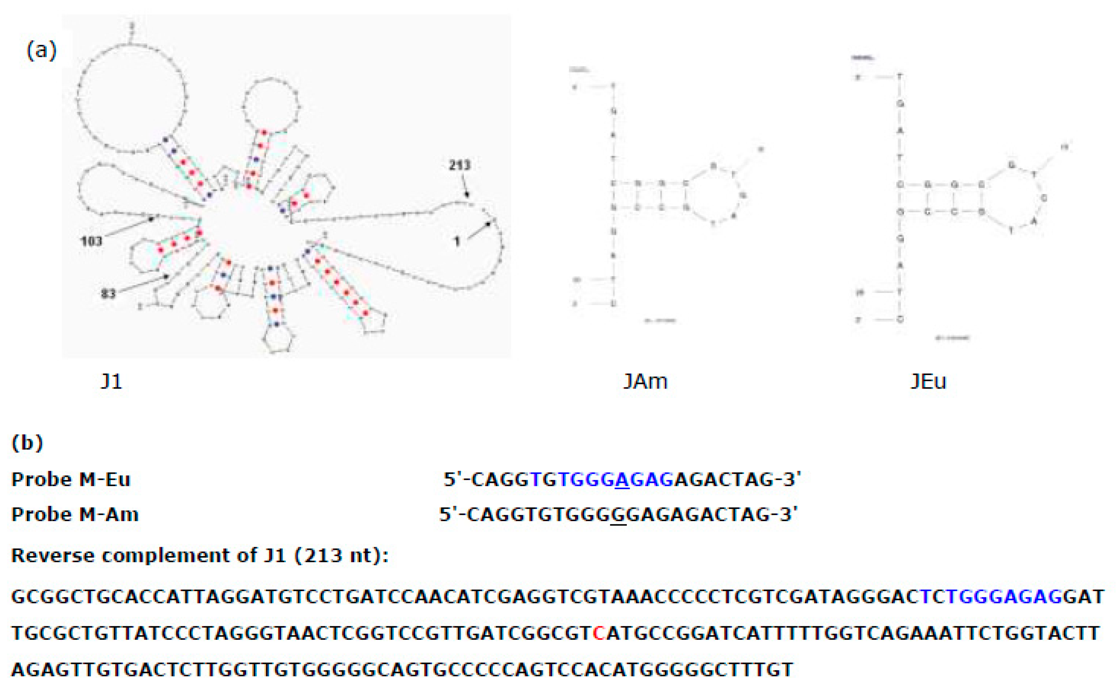 Preprints 194852 g004
