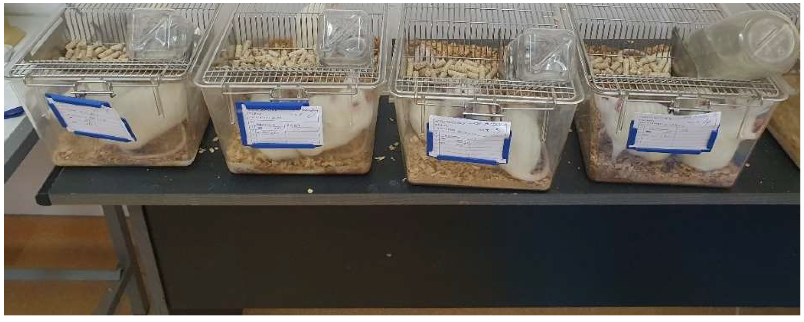 Preprints 146431 g001