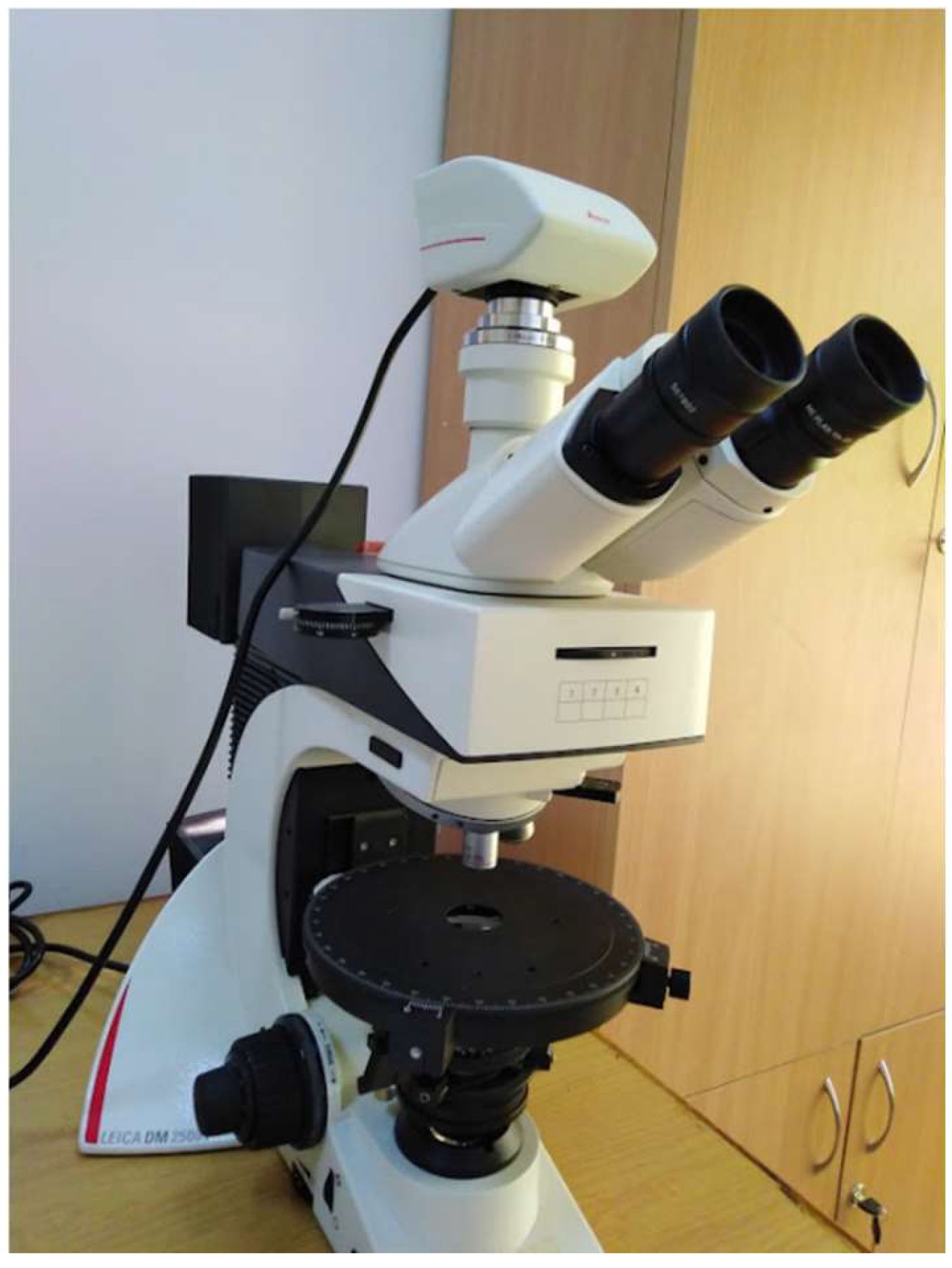 Preprints 146431 g003