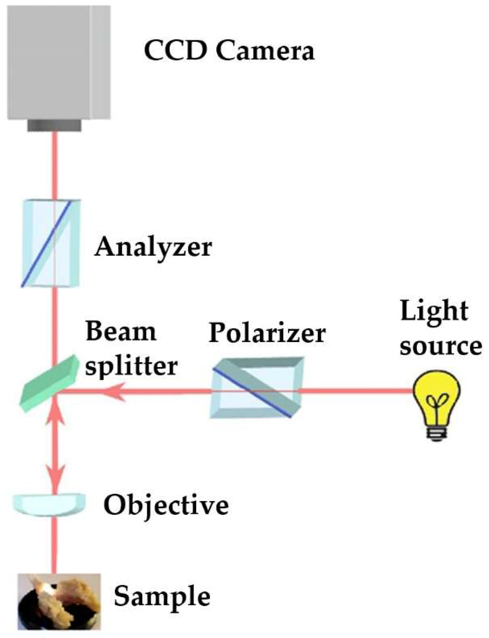 Preprints 146431 g005