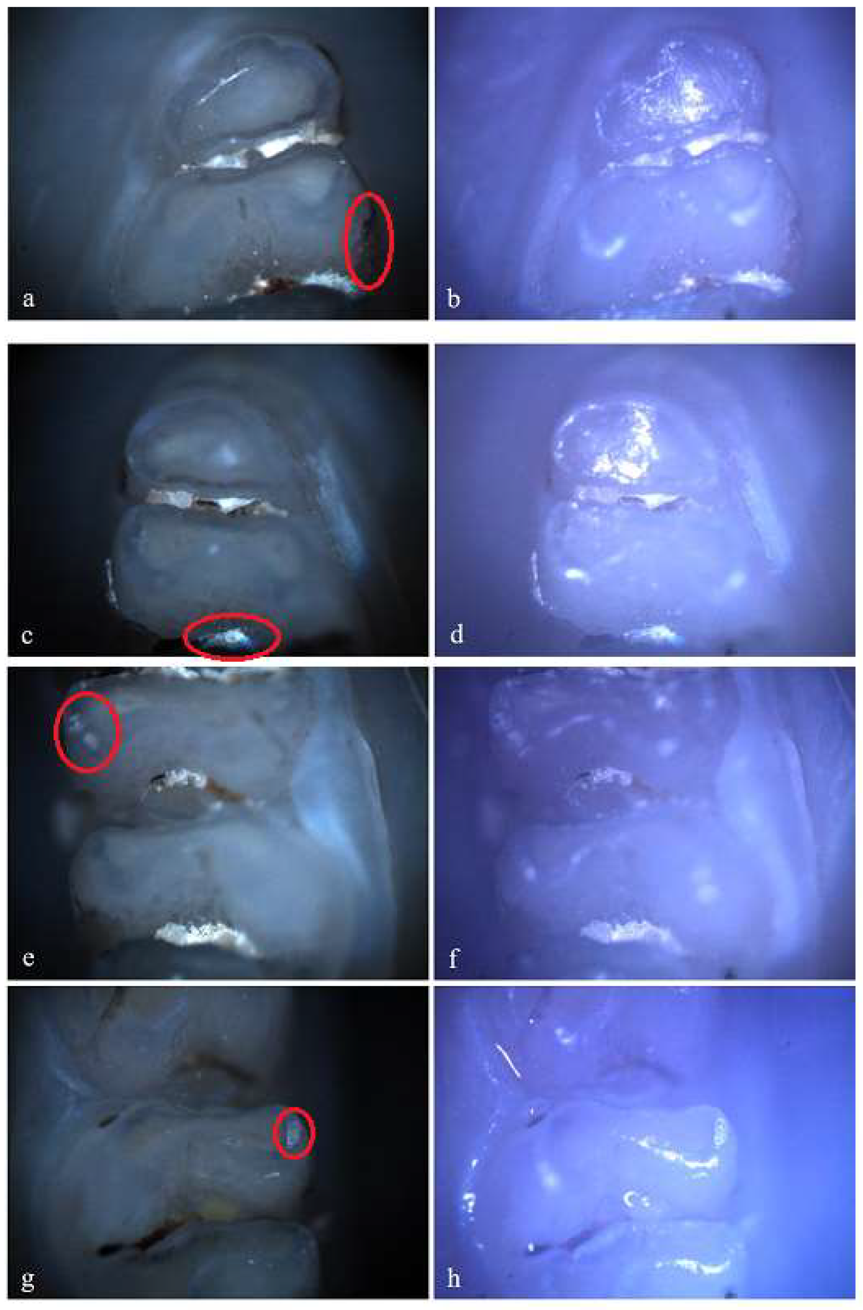 Preprints 146431 g007