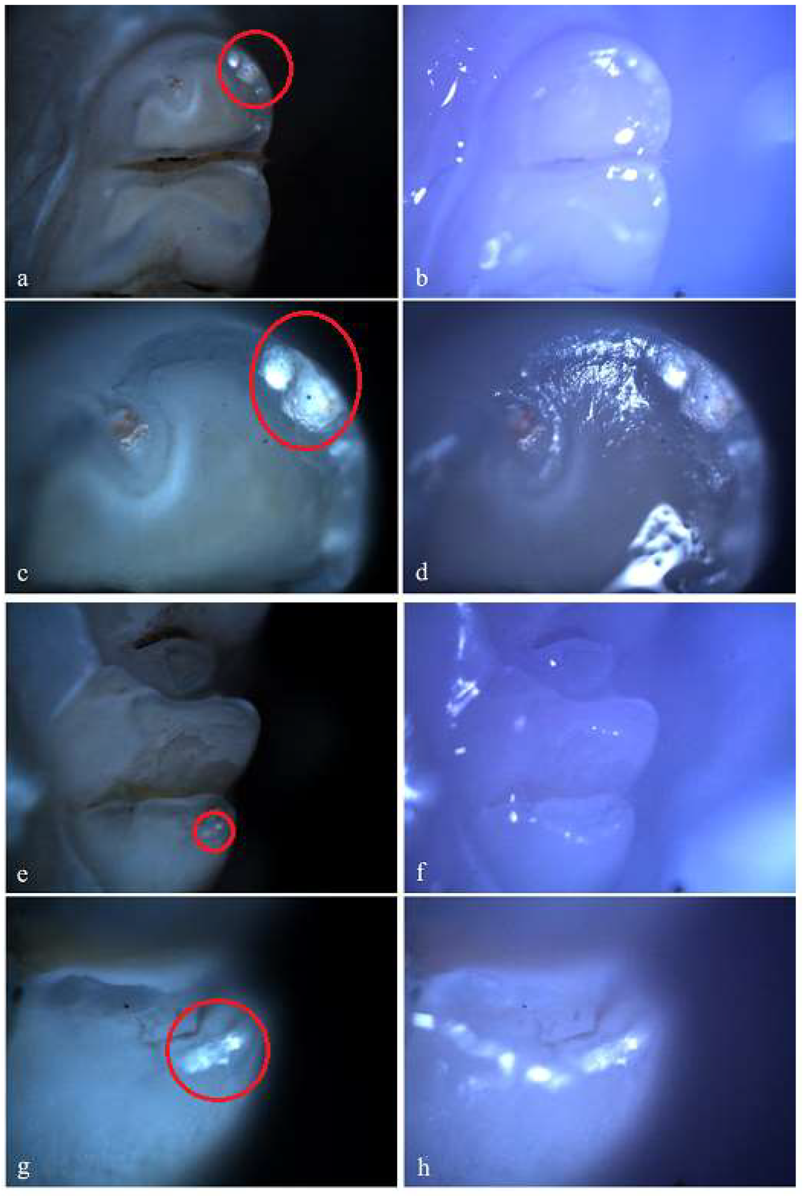 Preprints 146431 g010a