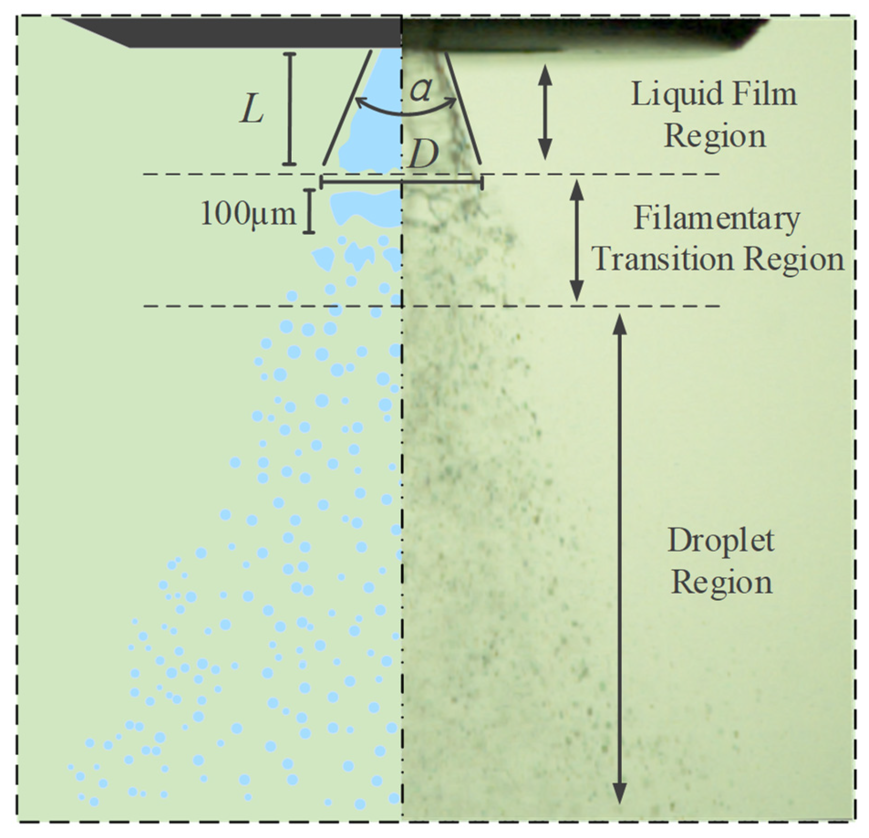 Preprints 159667 g003