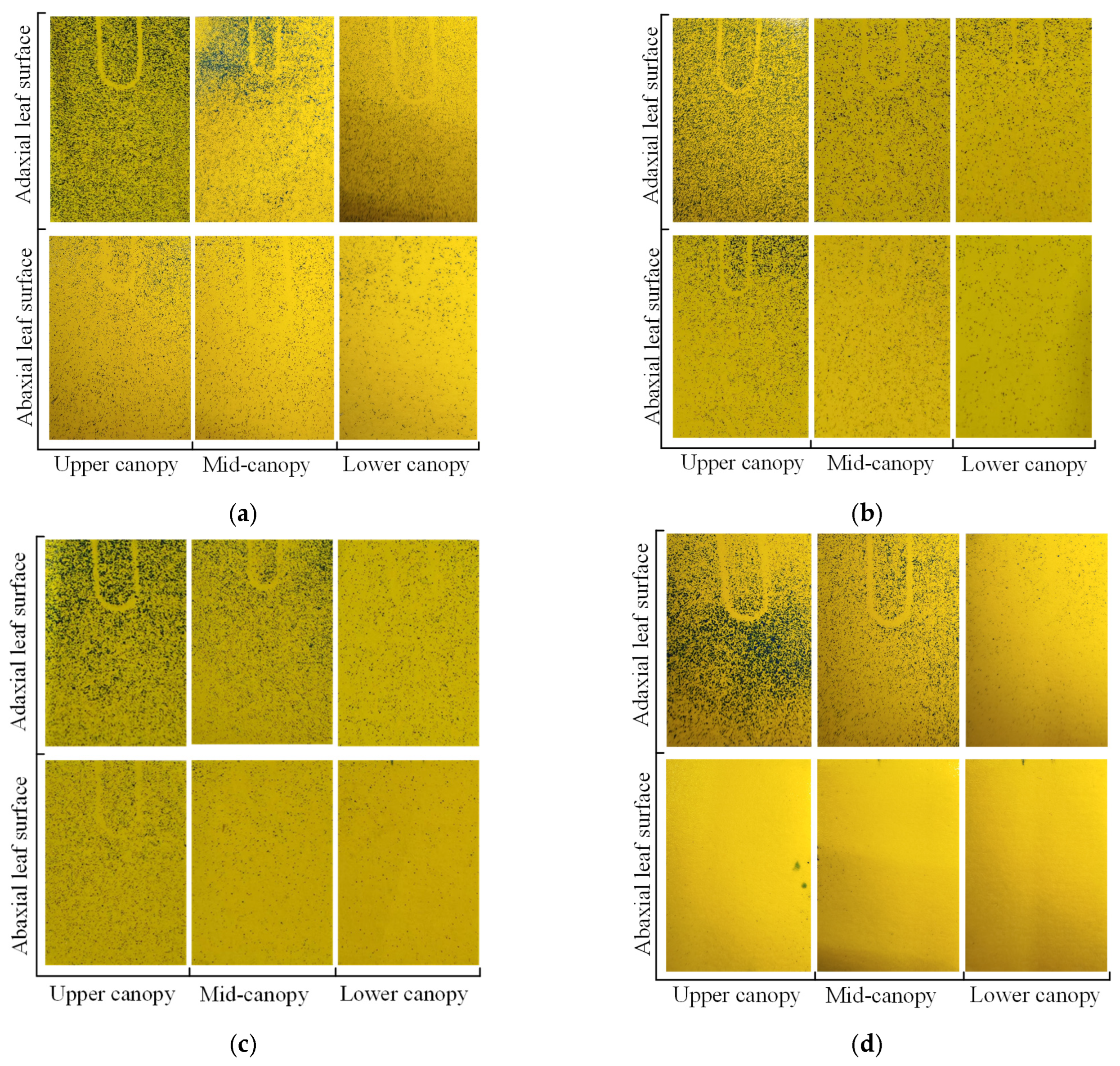 Preprints 159667 g014a