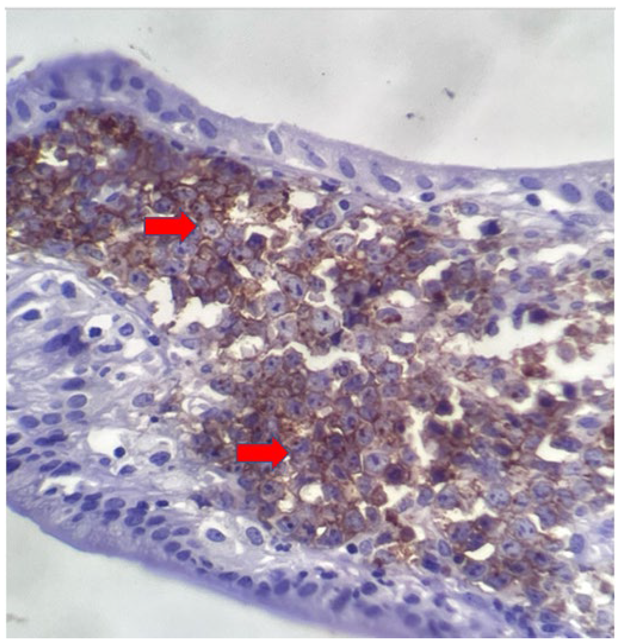 Preprints 109445 g003