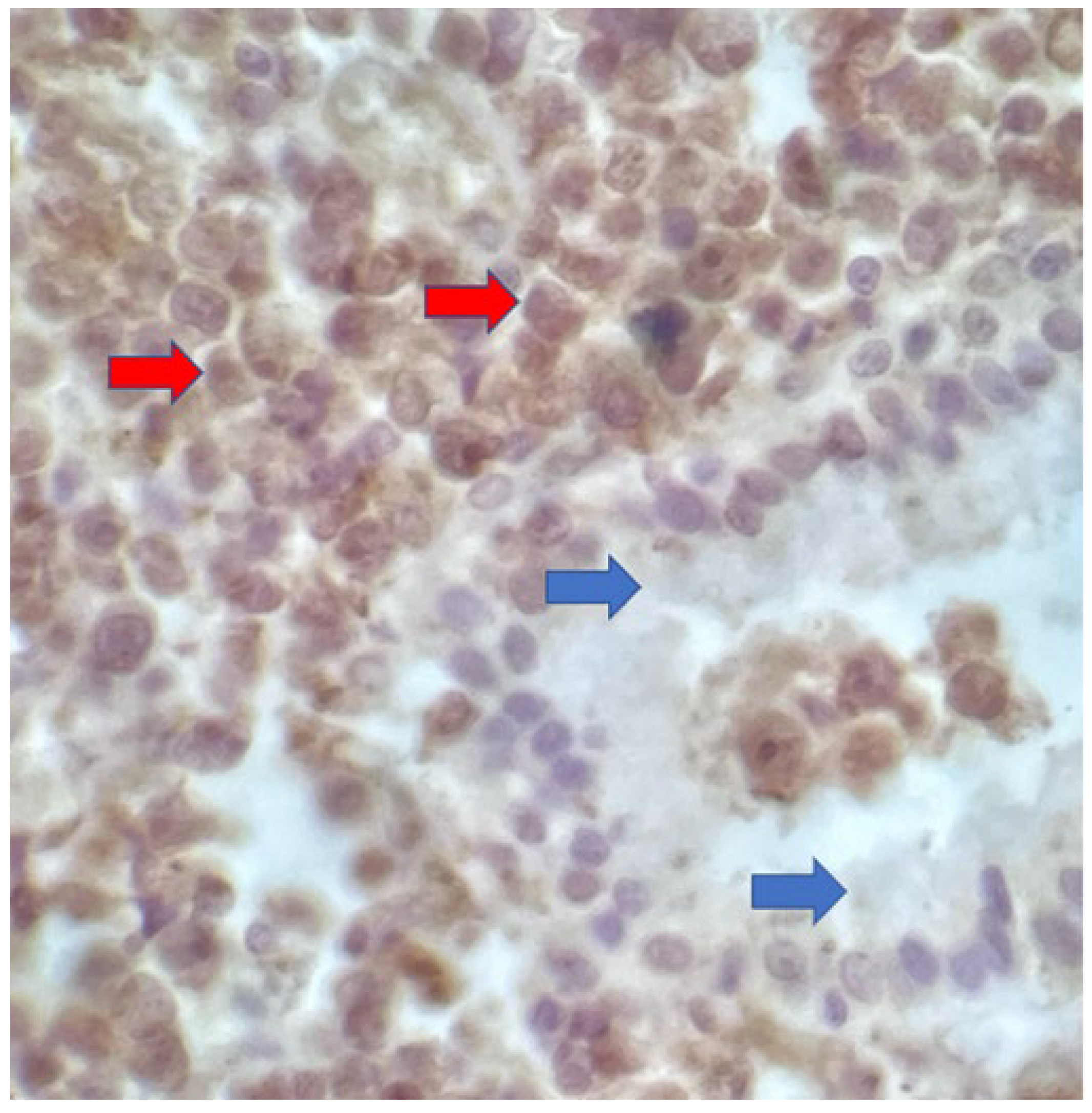 Preprints 109445 g004