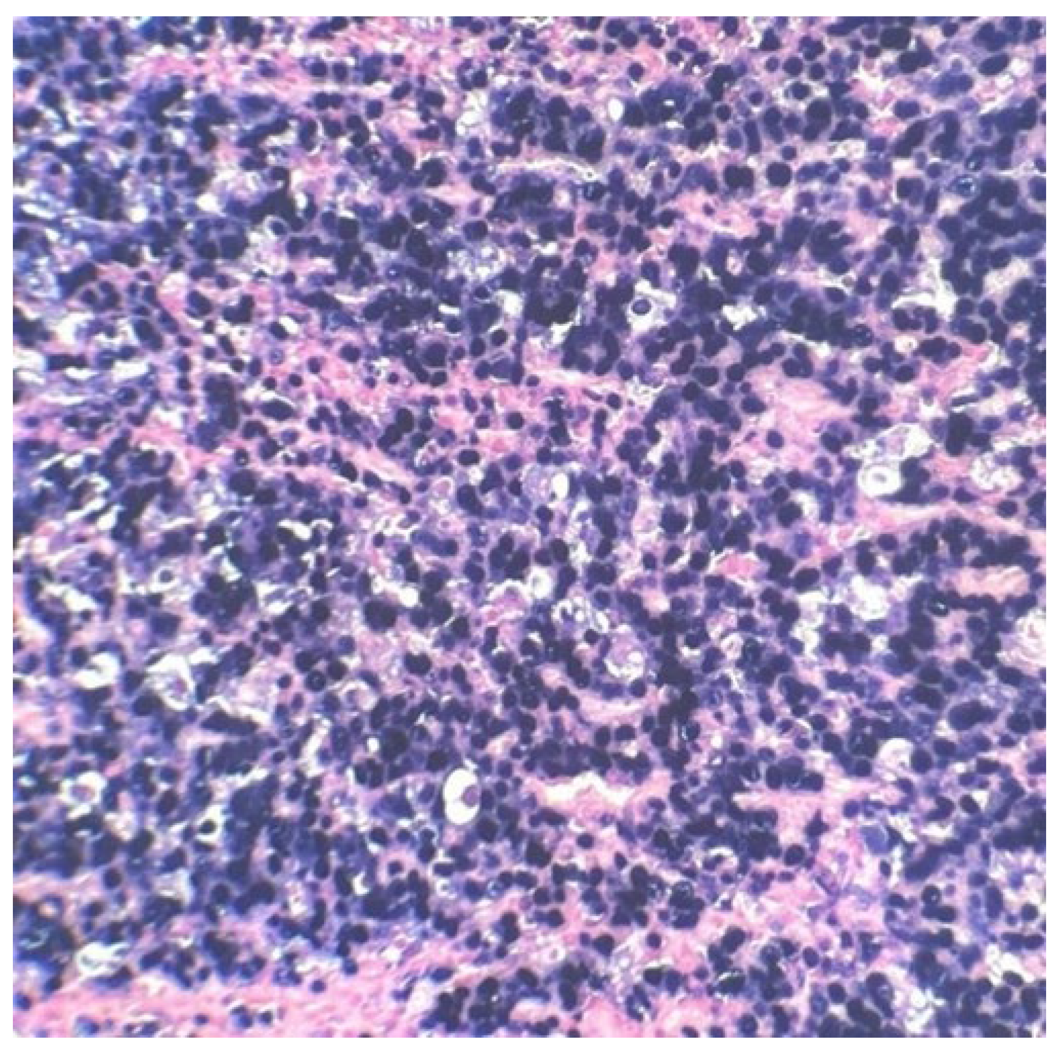 Preprints 109445 g005