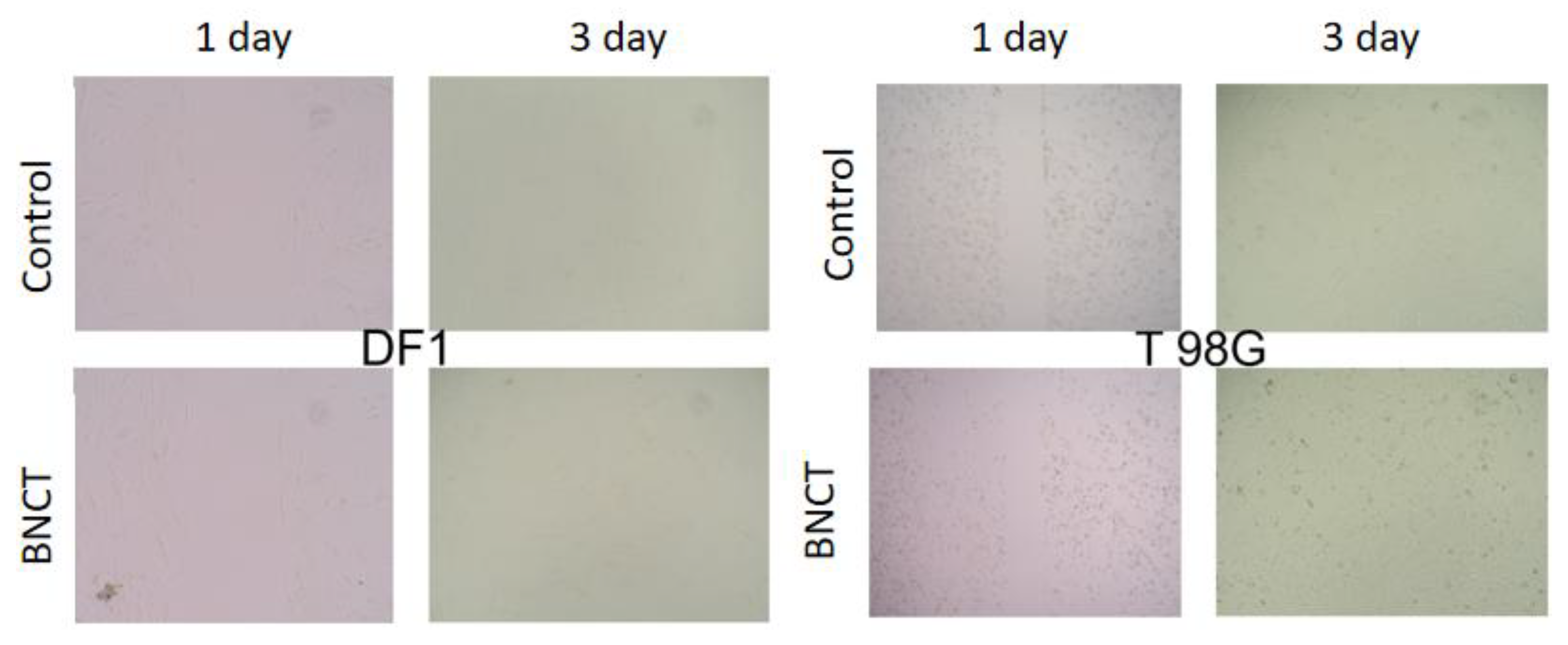Preprints 231363 g004 Preprints 231363 g004