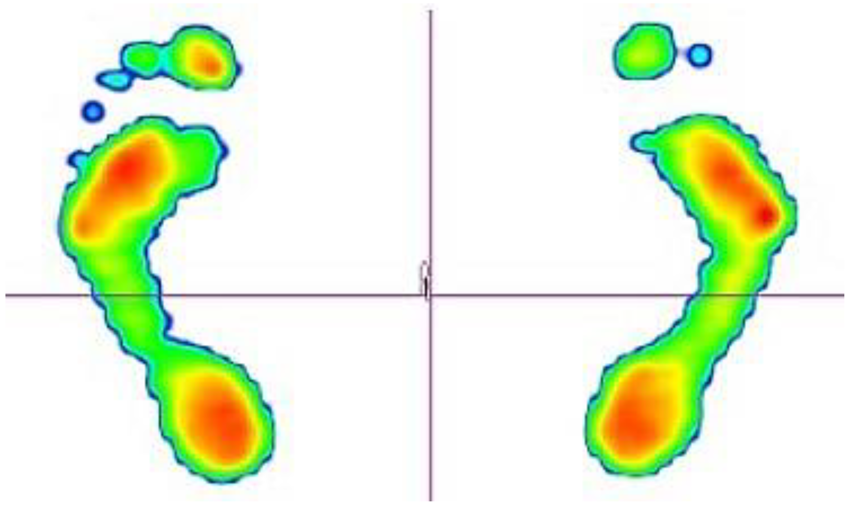 Preprints 157073 g001
