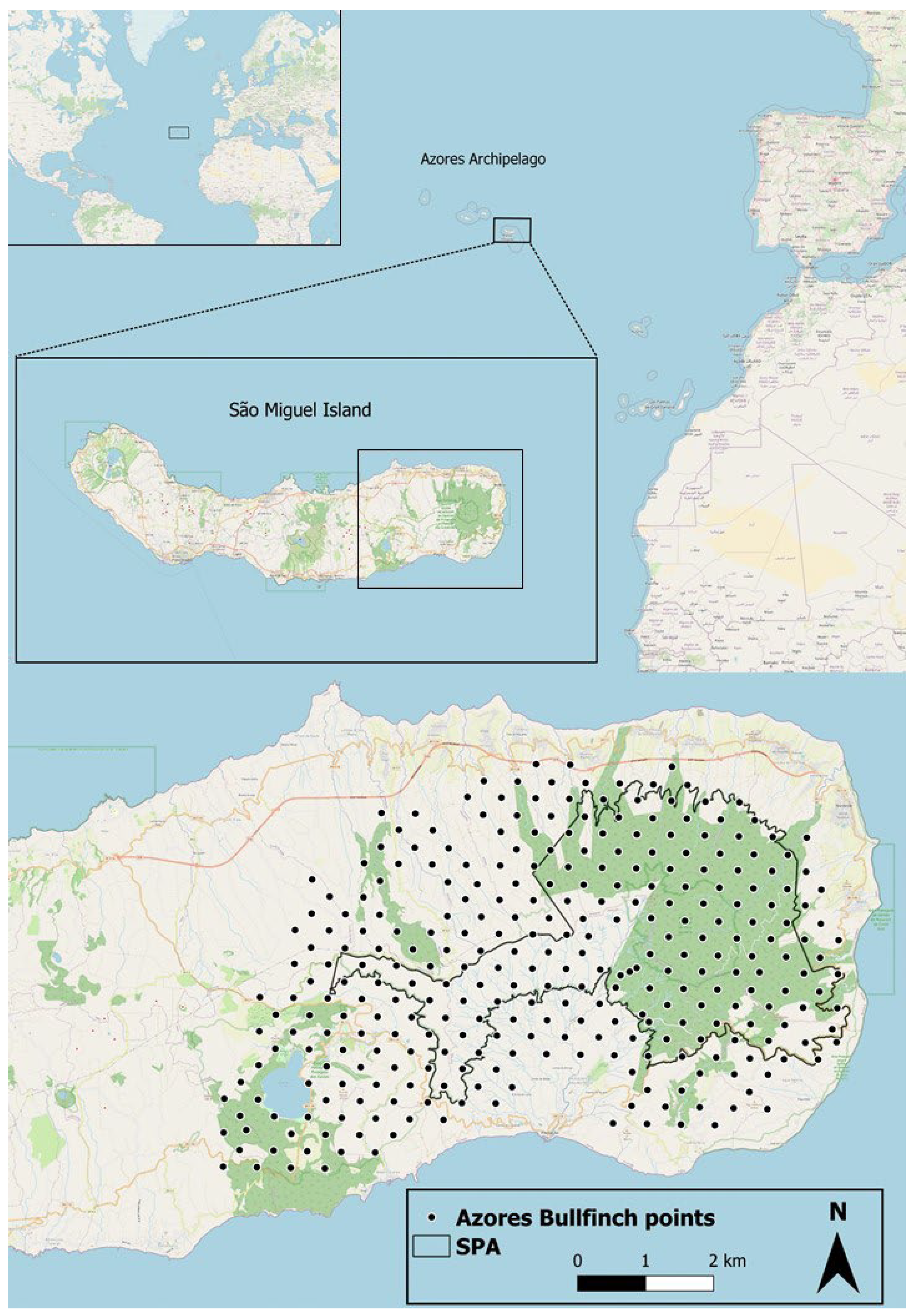 Preprints 71736 g001