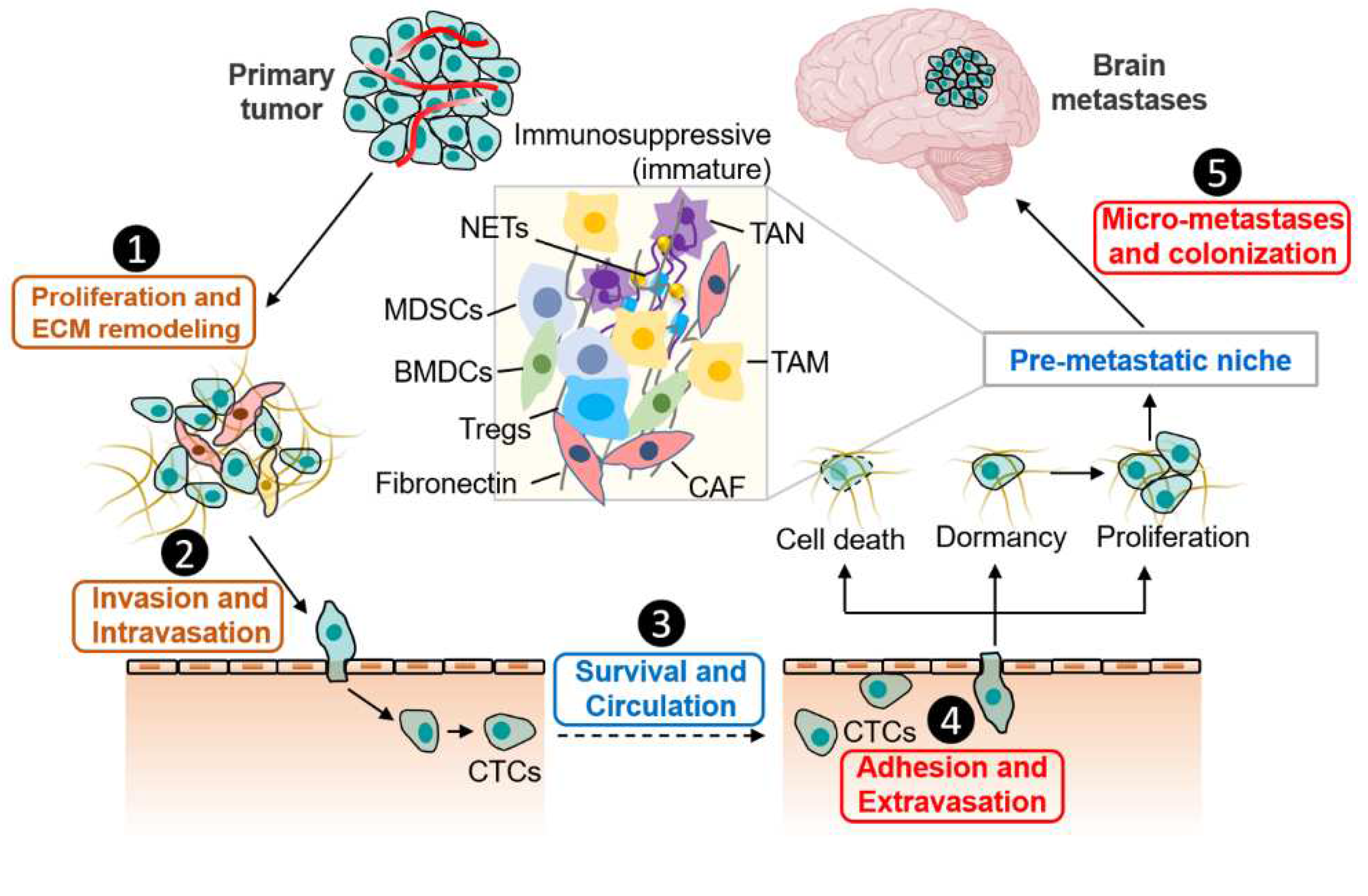 Preprints 76920 g001