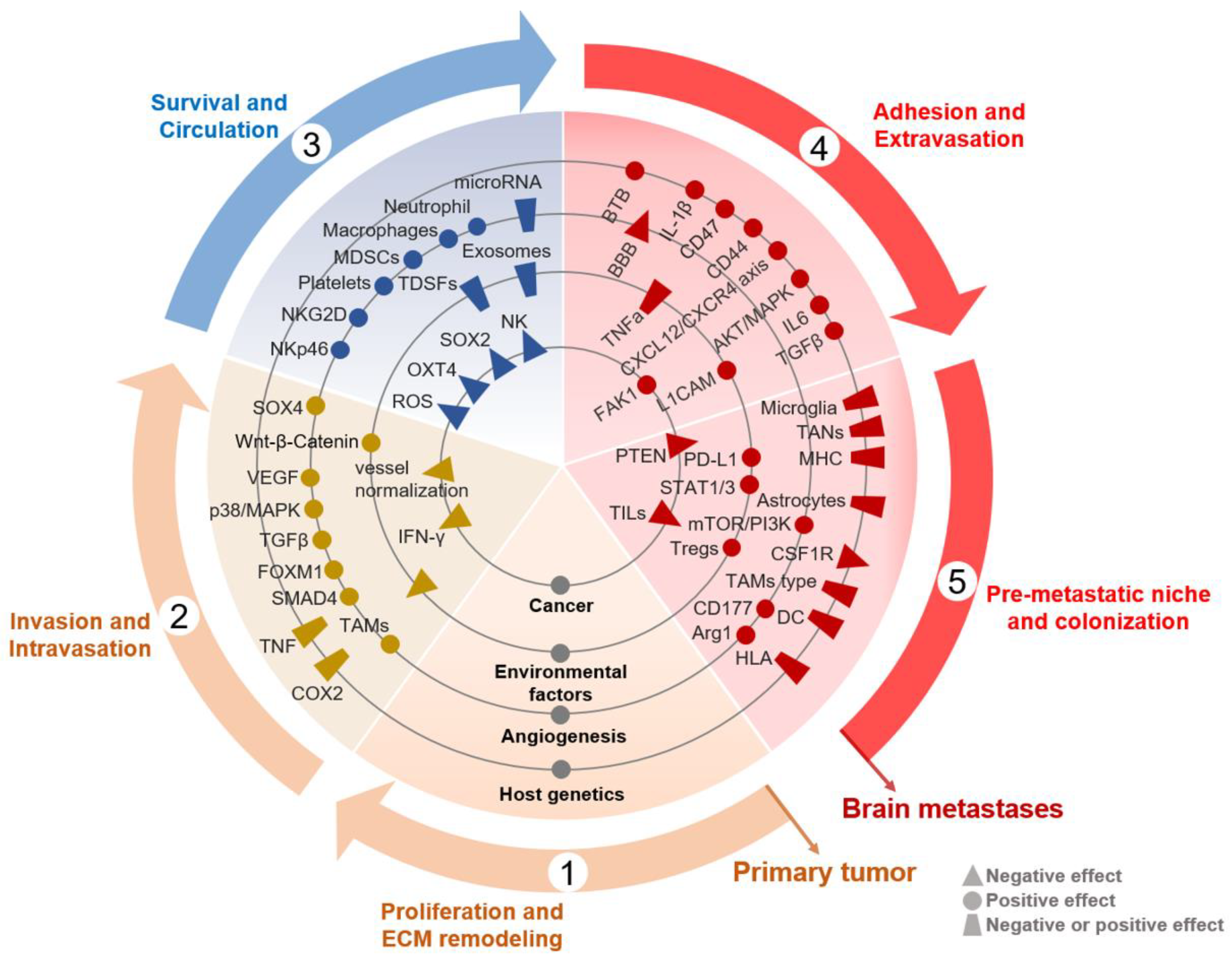 Preprints 76920 g002