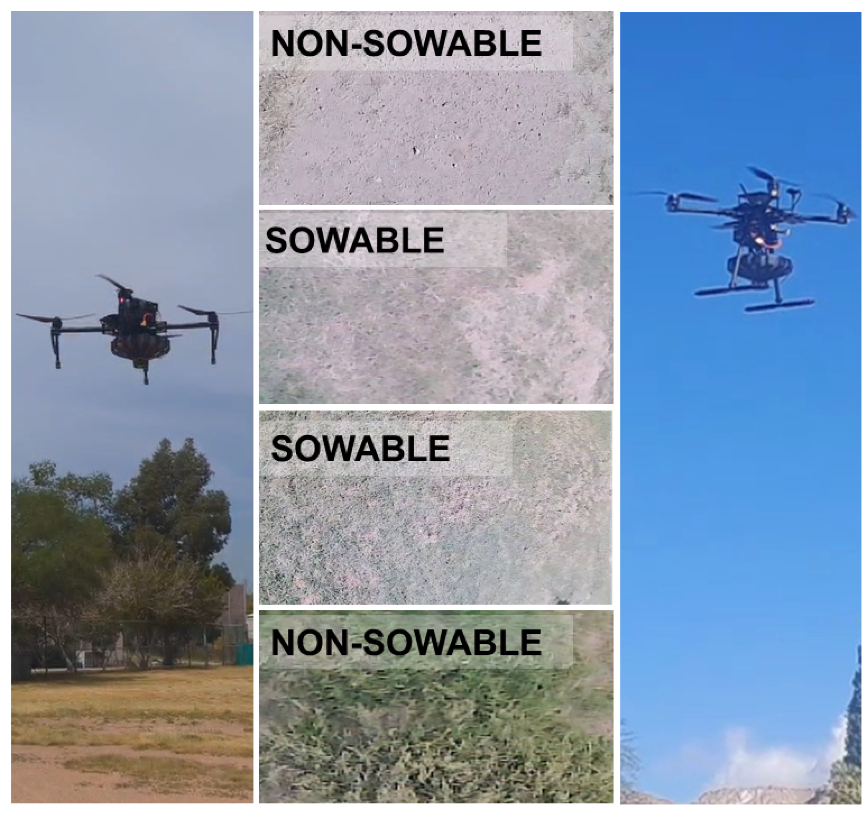 Preprints 207525 g008 Preprints 207525 g008