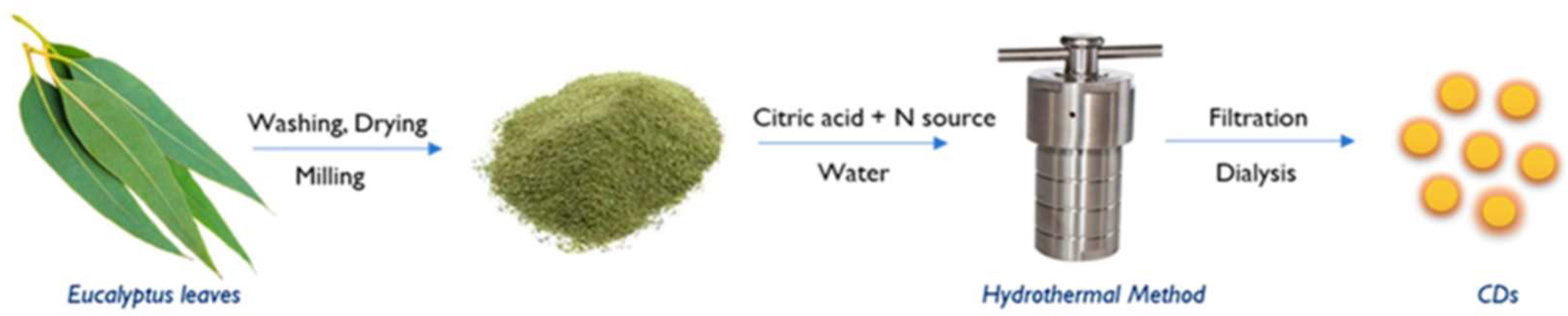 Preprints 98271 g001