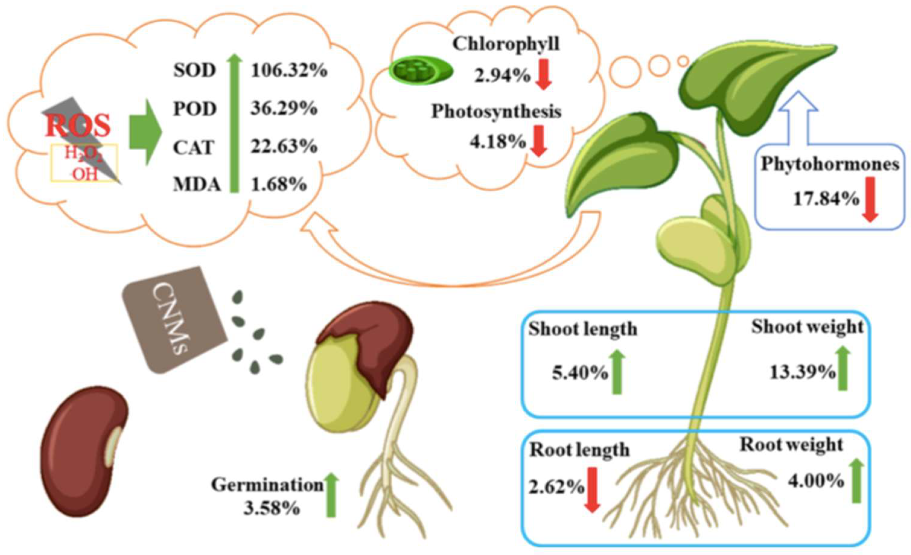 Preprints 98271 g003