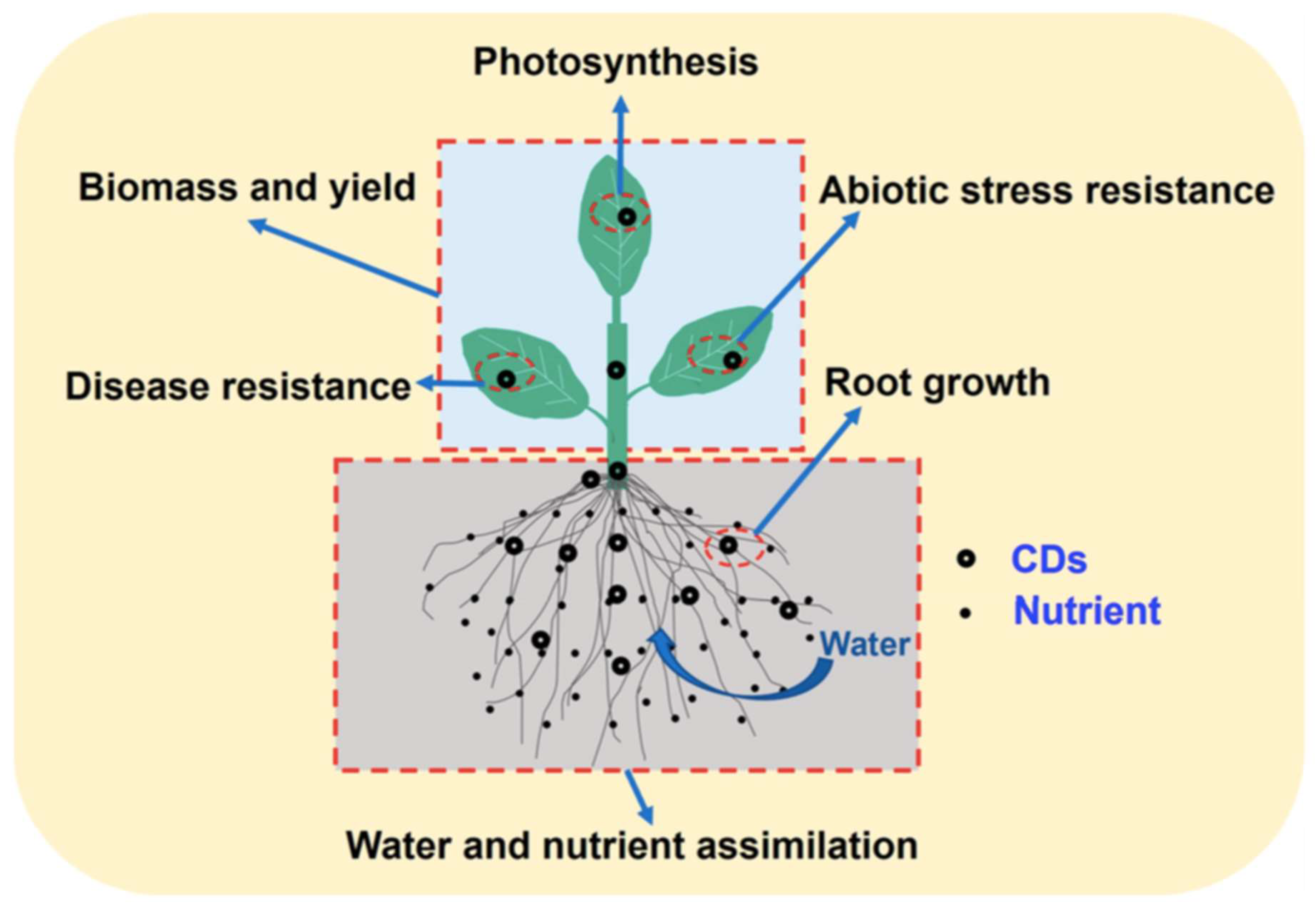 Preprints 98271 g005