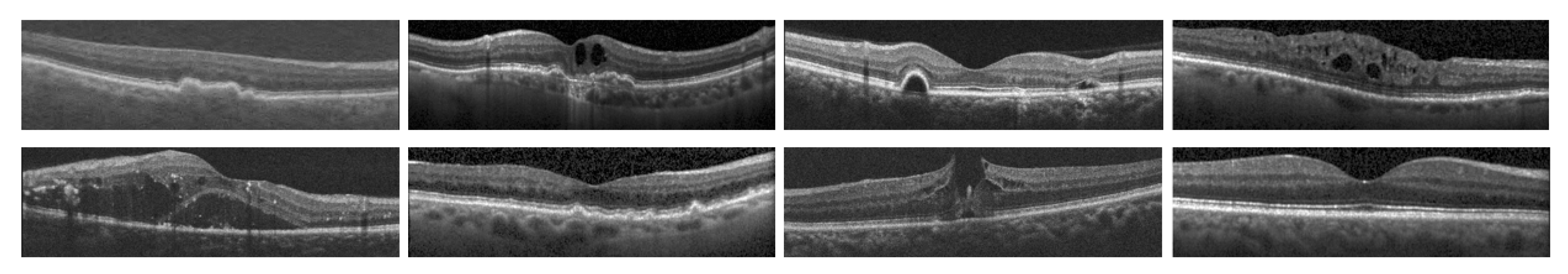 Preprints 165607 g001