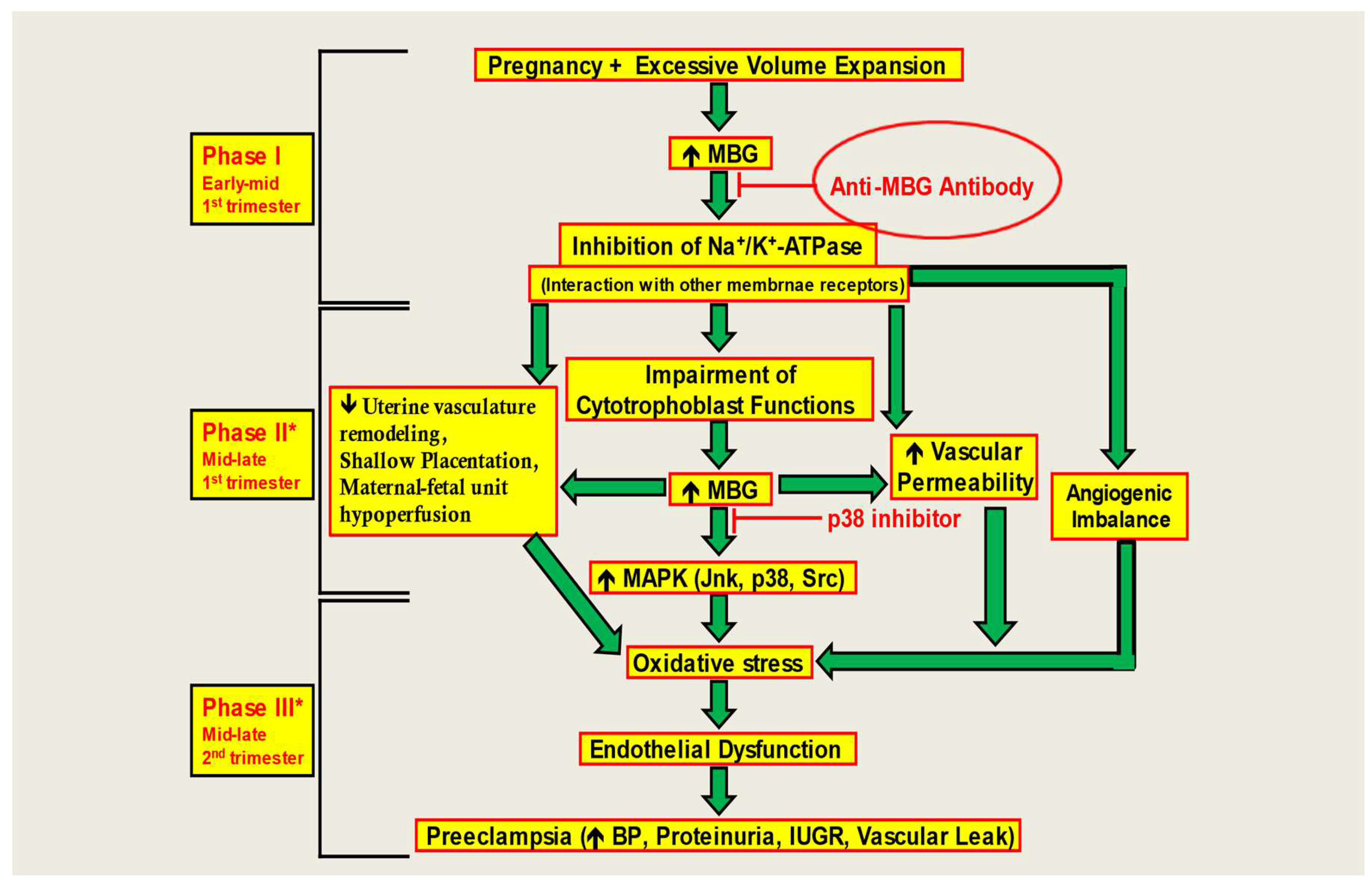 Preprints 151580 g005