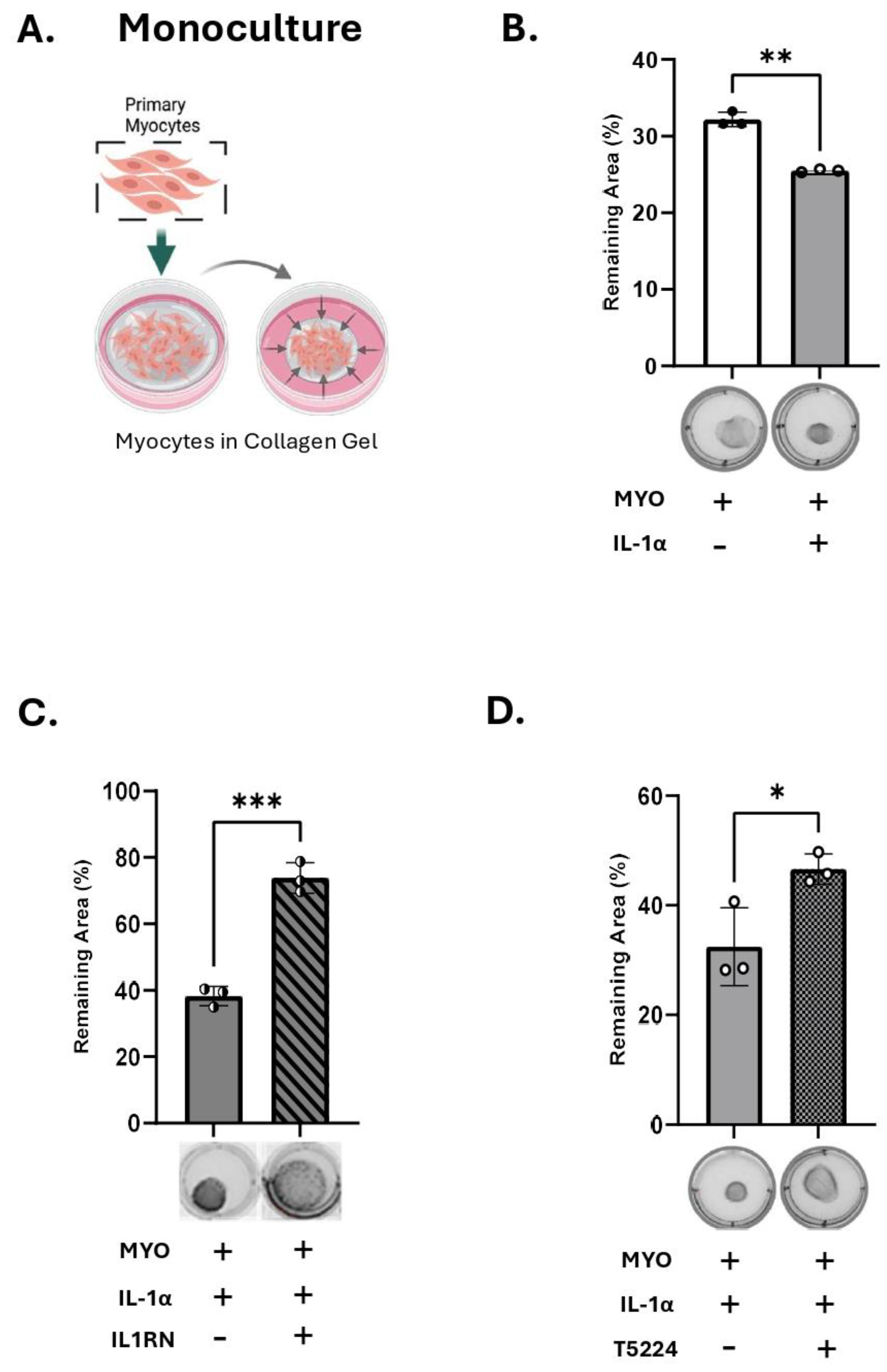 Preprints 180911 g004