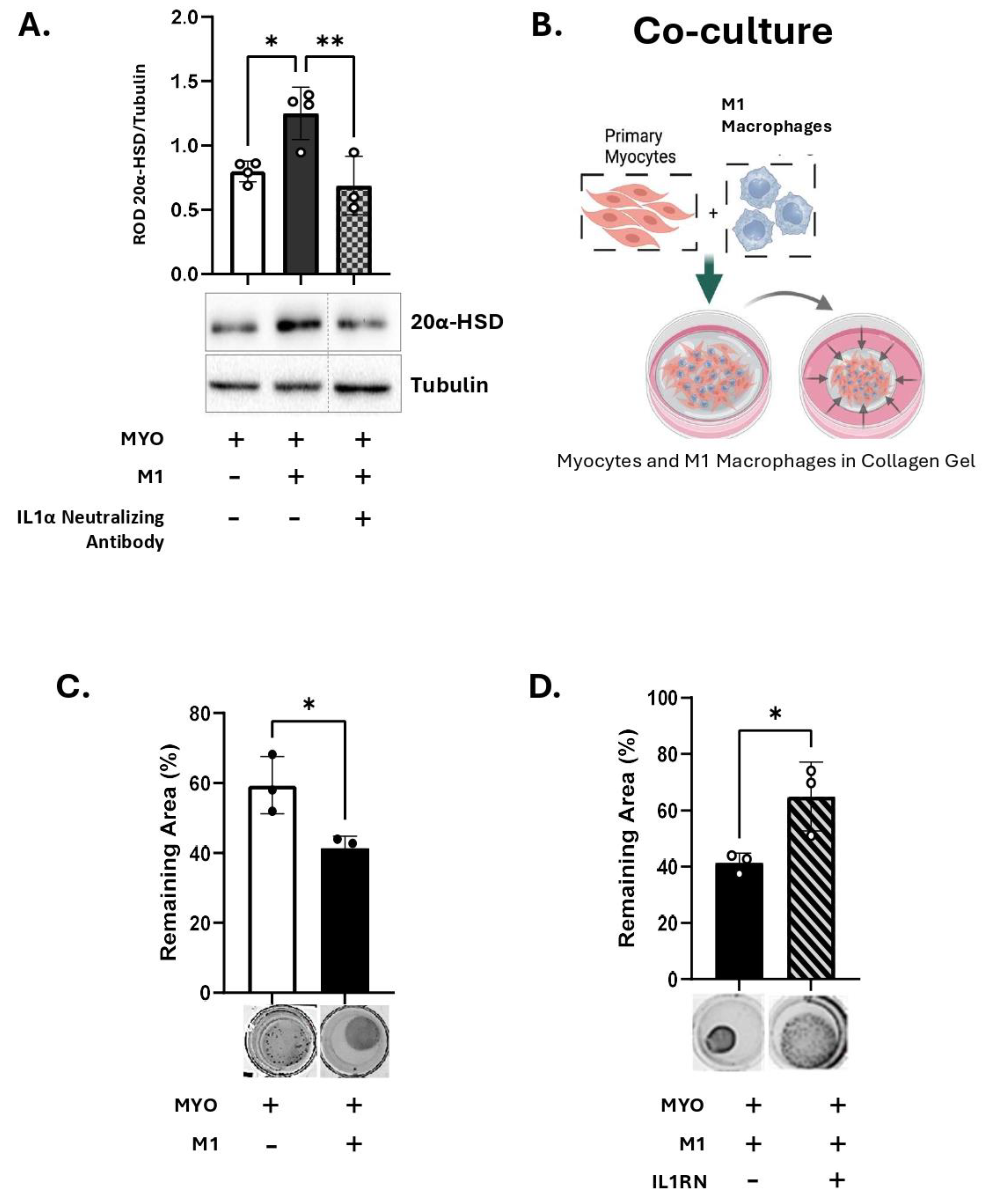 Preprints 180911 g005