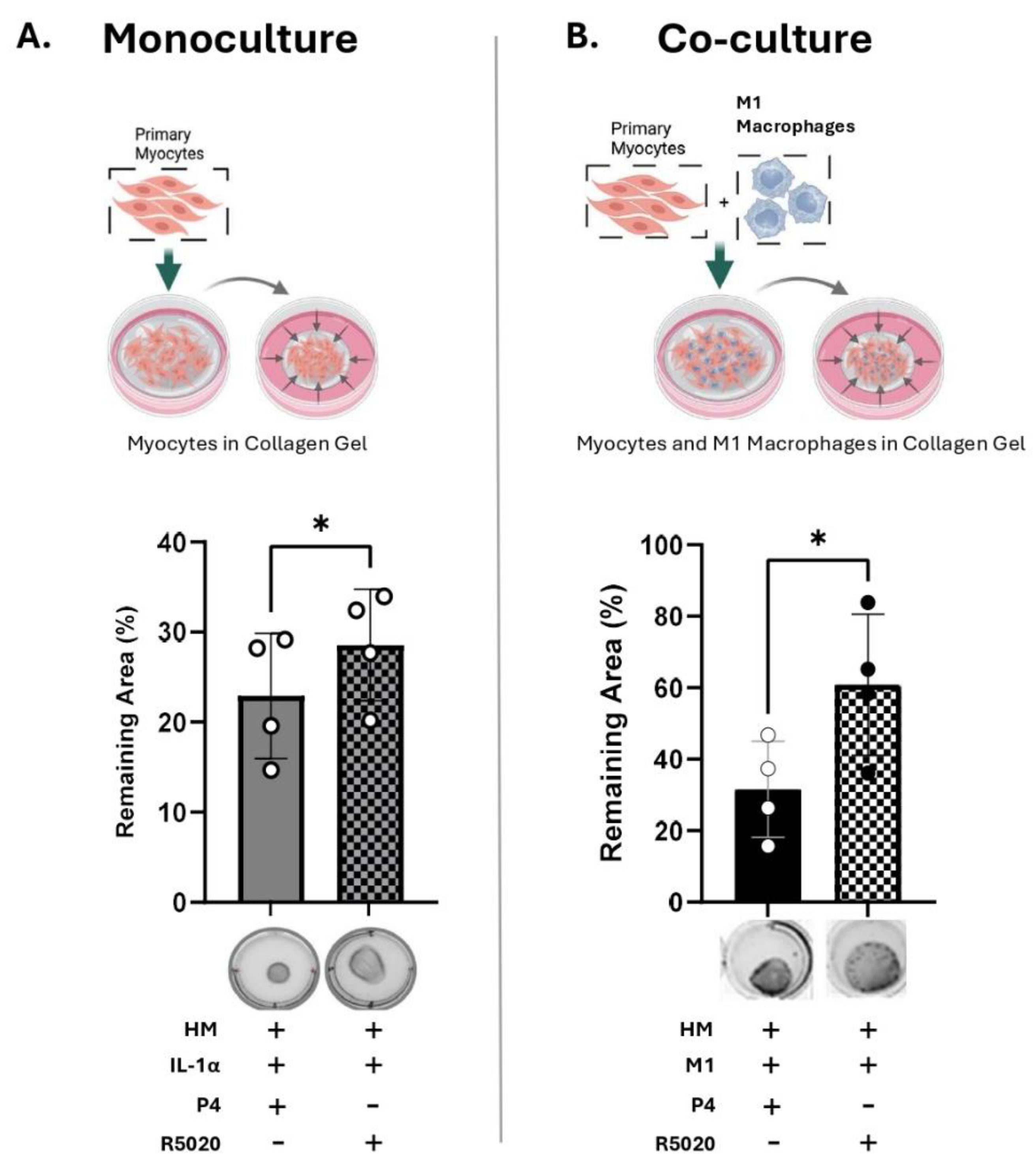 Preprints 180911 g006