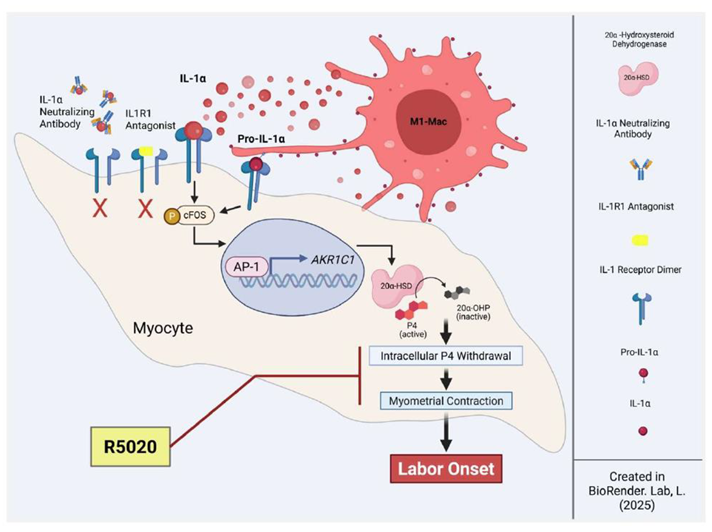 Preprints 180911 i001