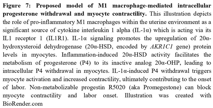 Preprints 180911 i002