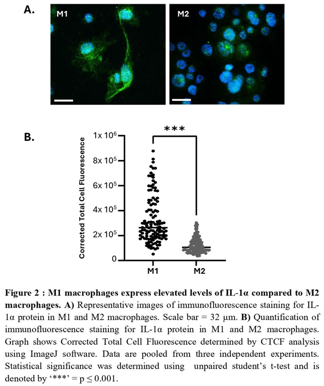 Preprints 180911 i003