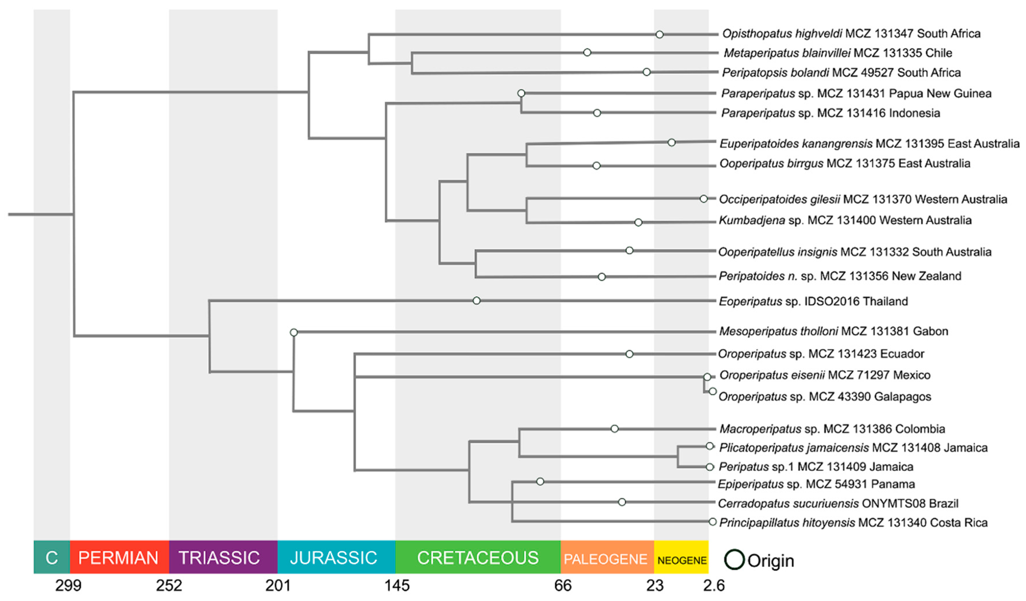 Preprints 165070 g003