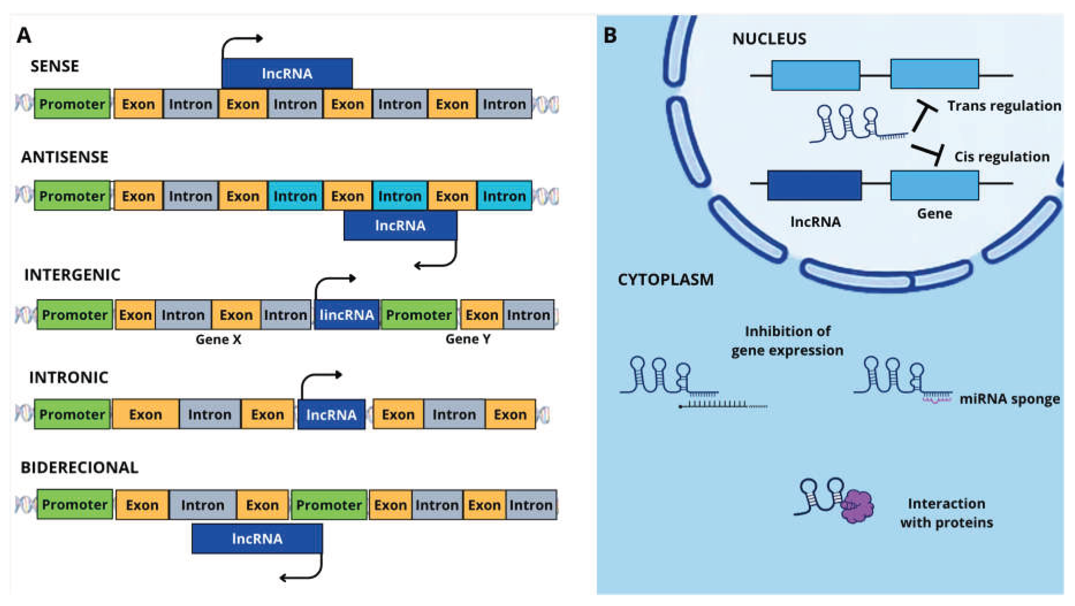 Preprints 232711 g001