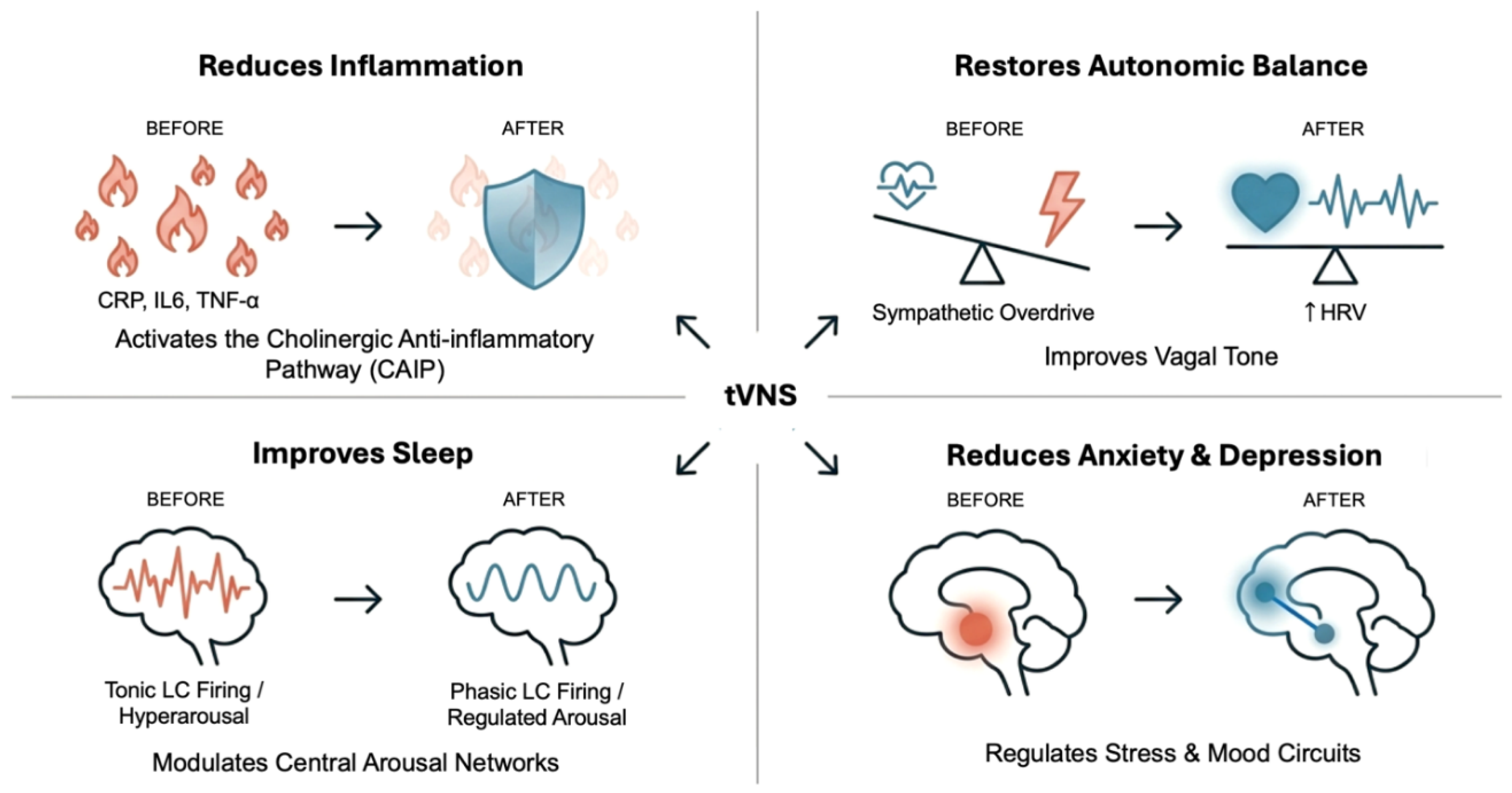 Preprints 193504 g003