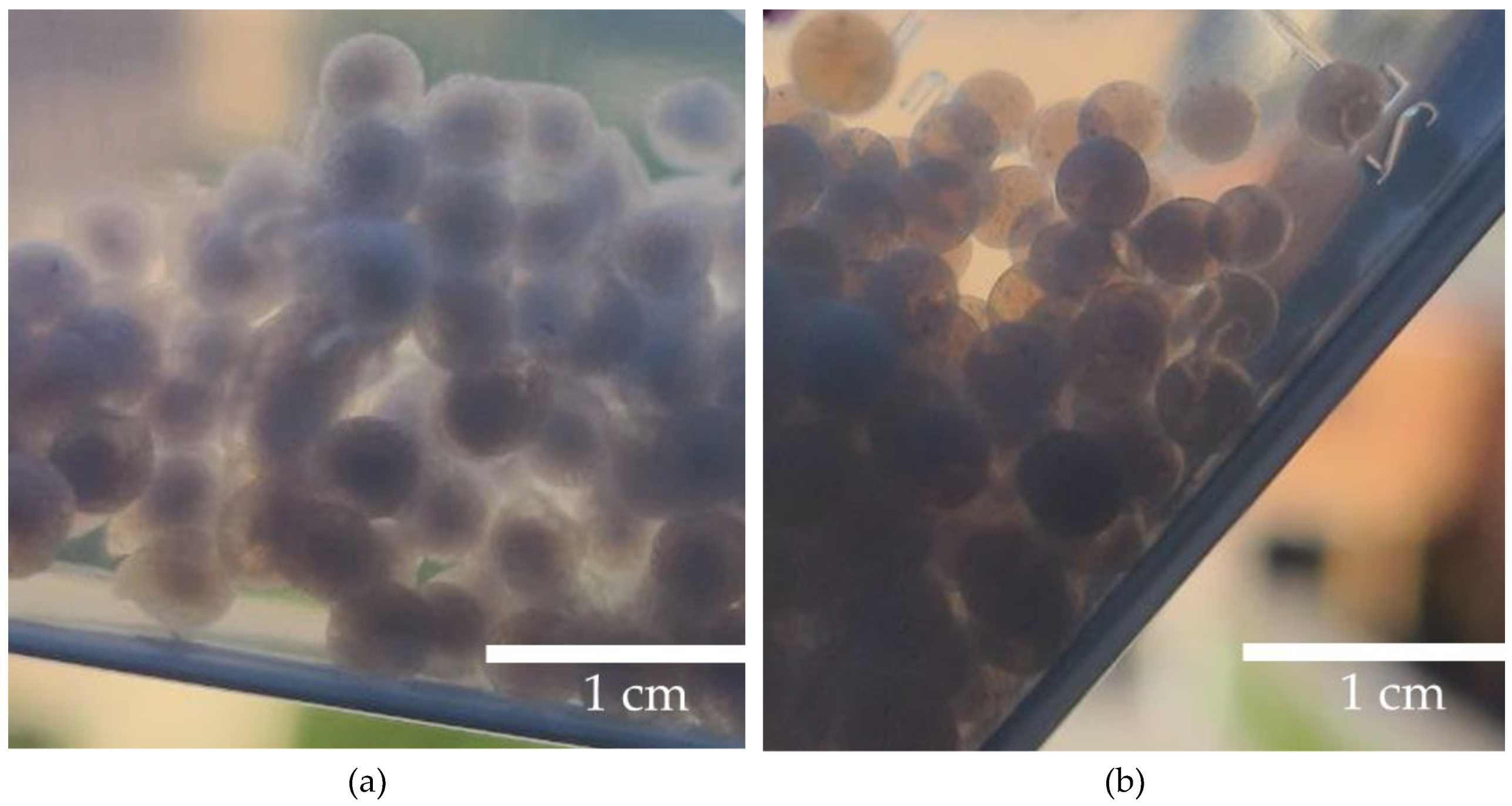 Preprints 142869 g002a