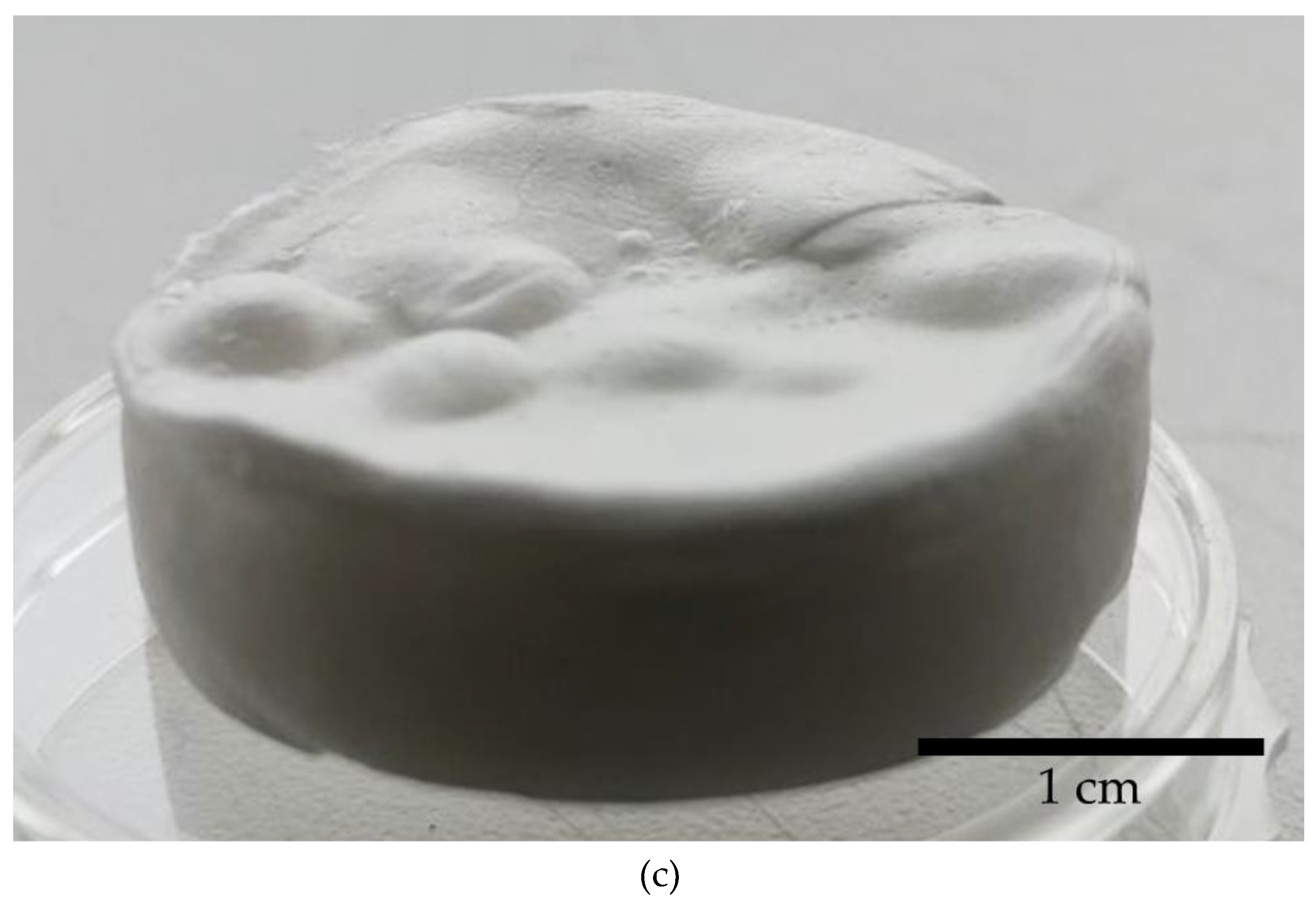 Preprints 142869 g002b