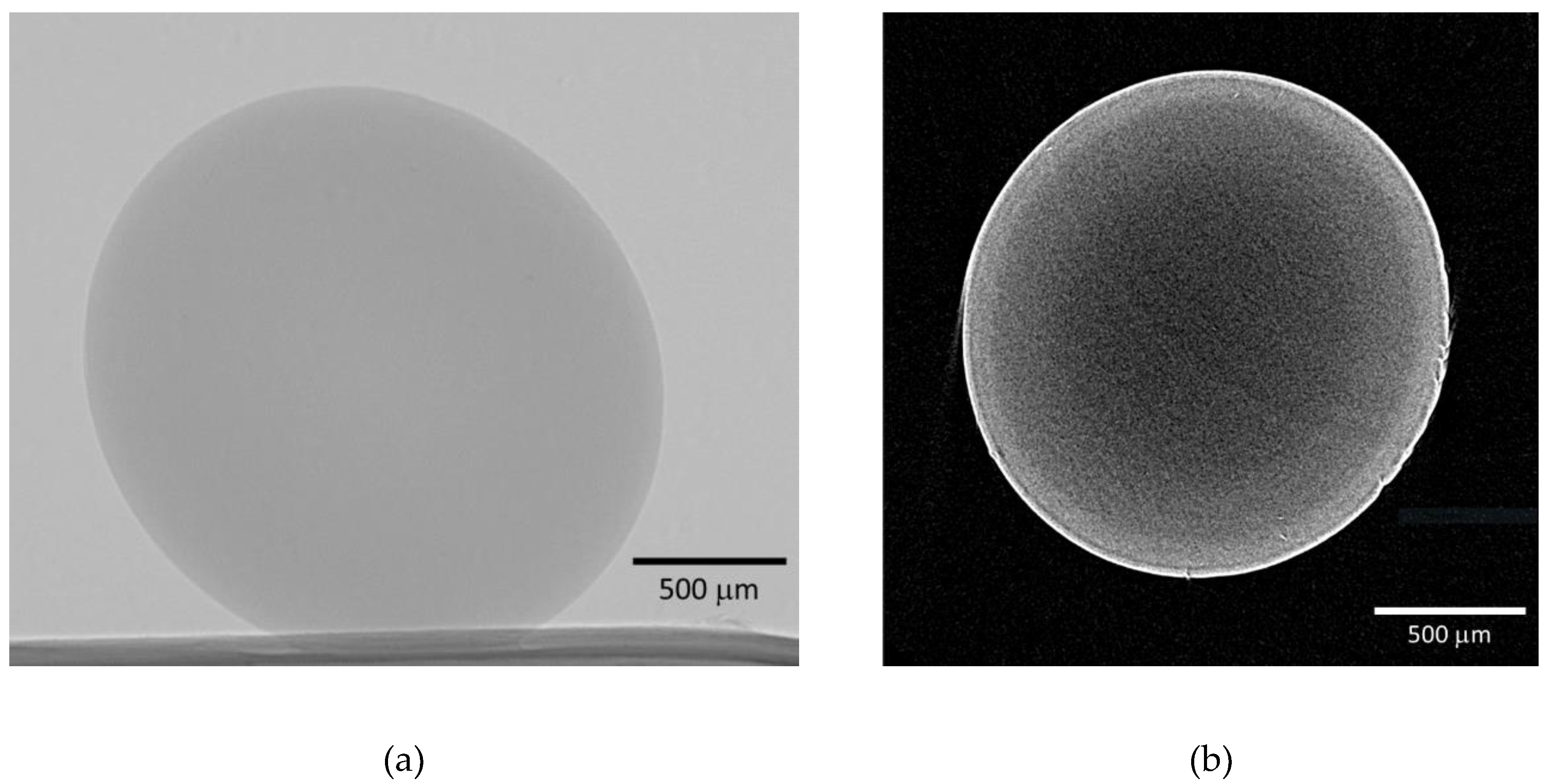 Preprints 142869 g003