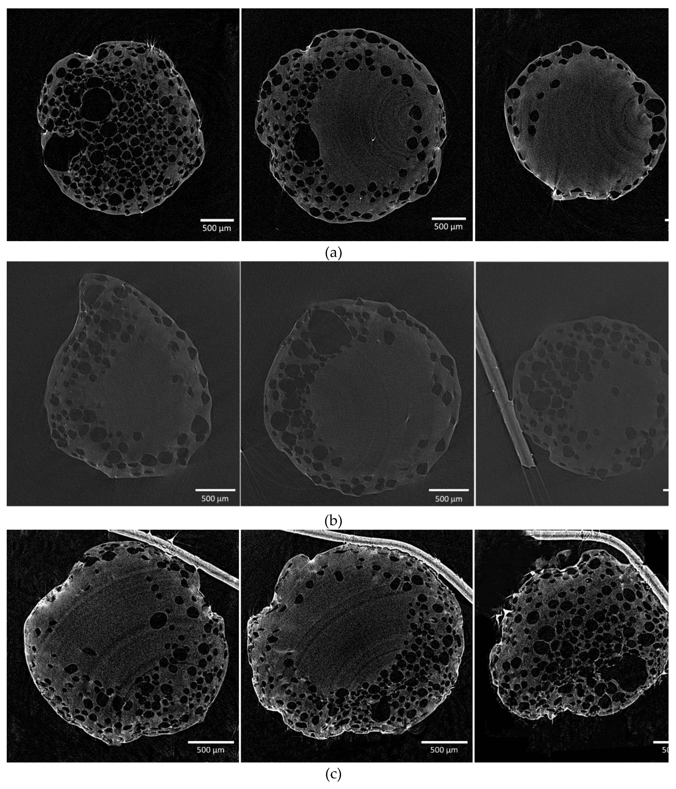 Preprints 142869 g004