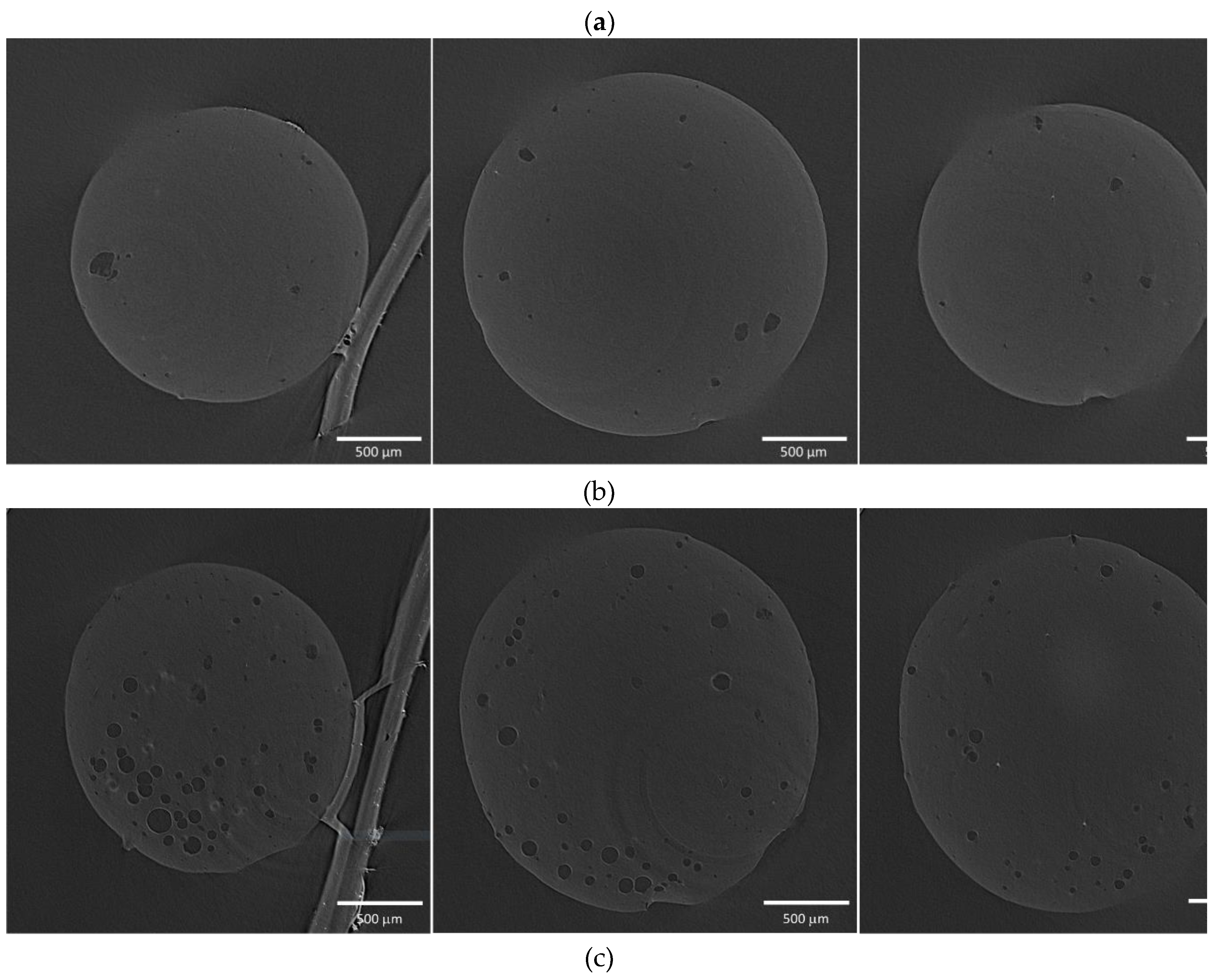 Preprints 142869 g006b
