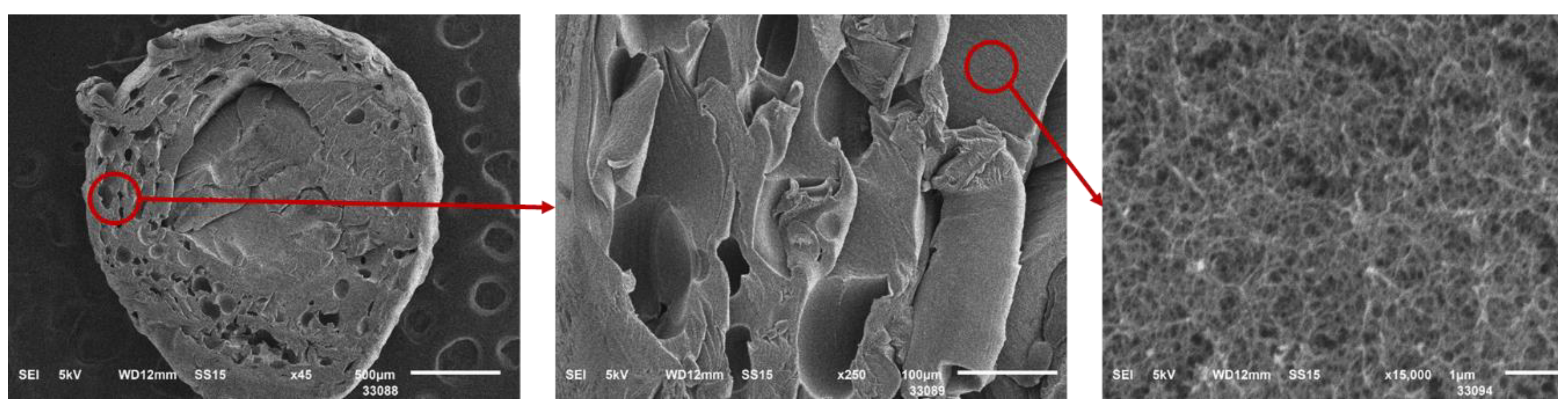 Preprints 142869 g009a