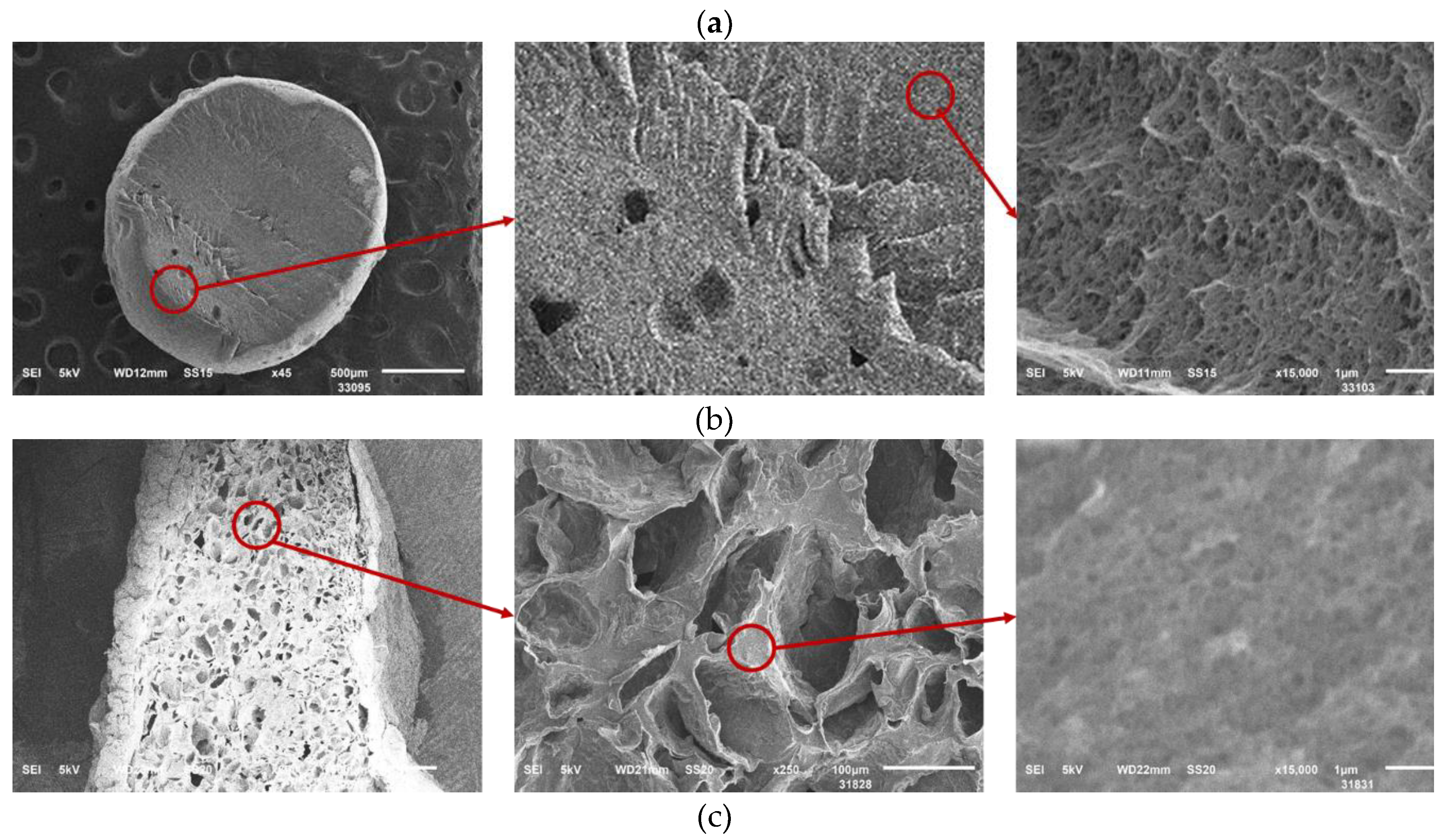 Preprints 142869 g009b