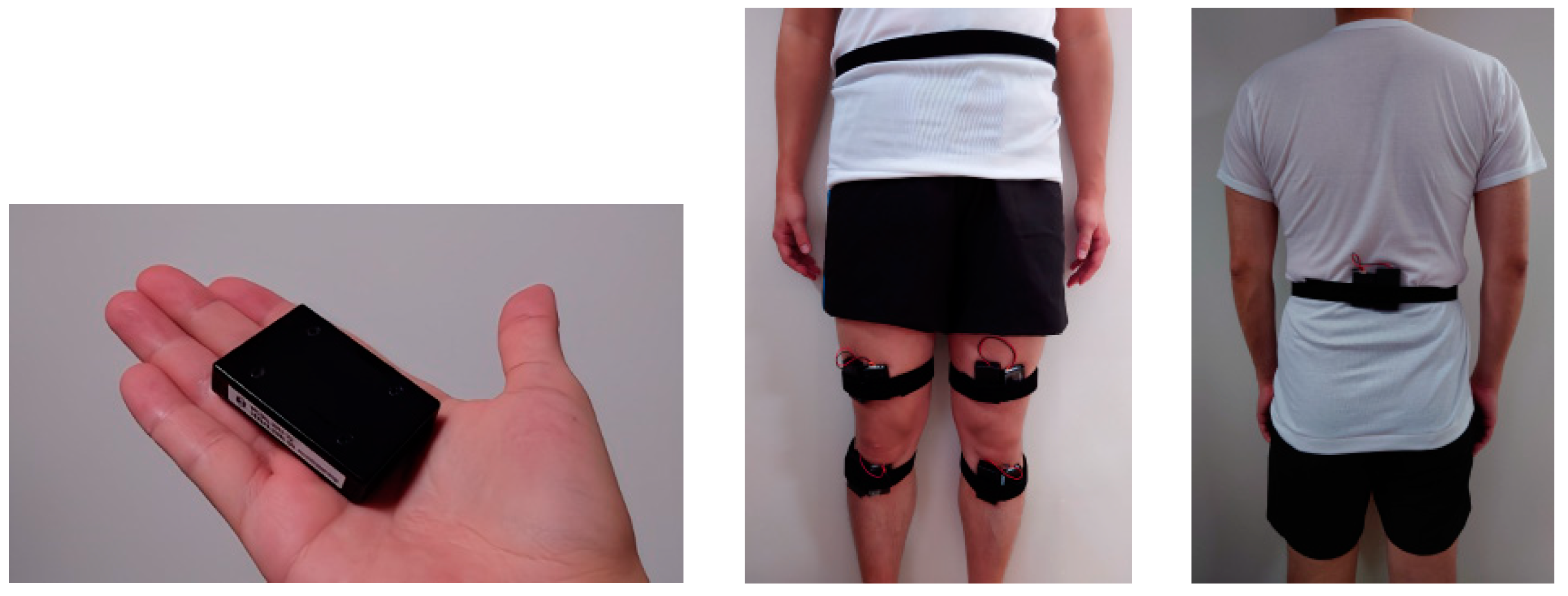 Preprints 99761 g001