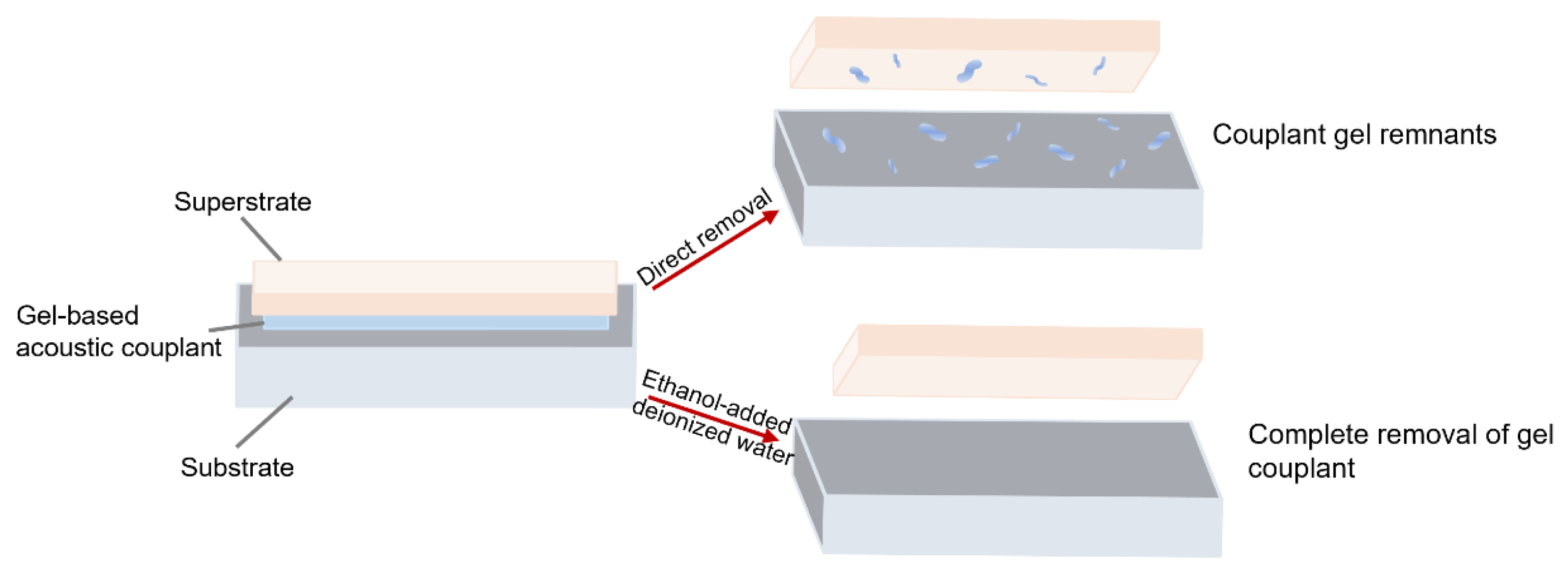 Preprints 164062 g002