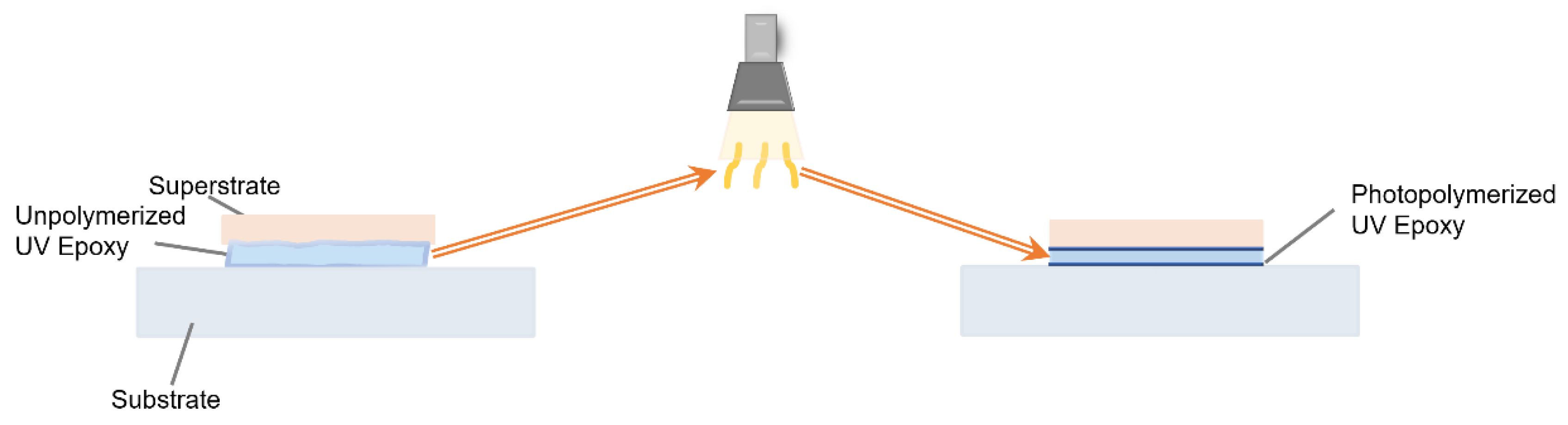 Preprints 164062 g003