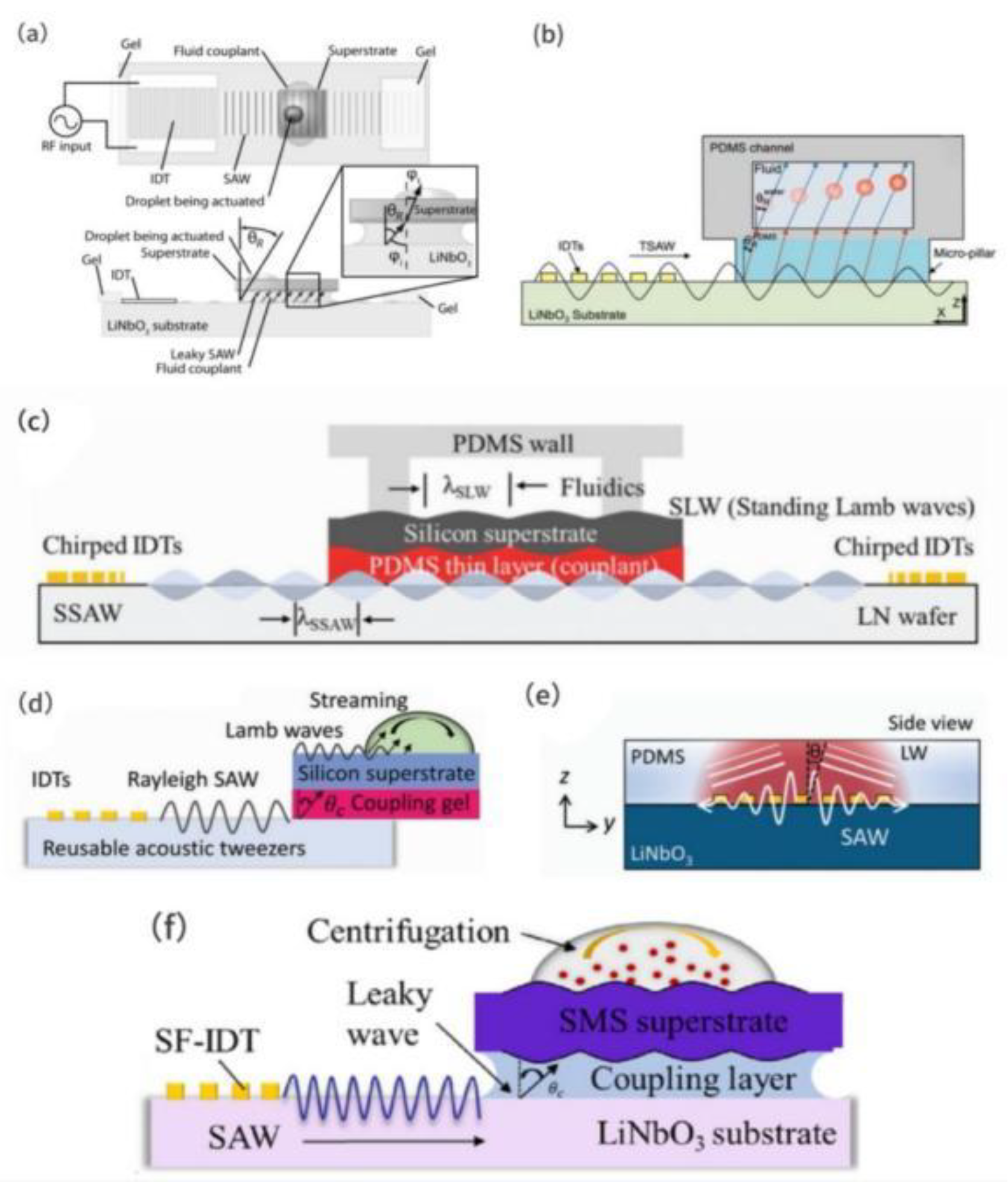 Preprints 164062 g004
