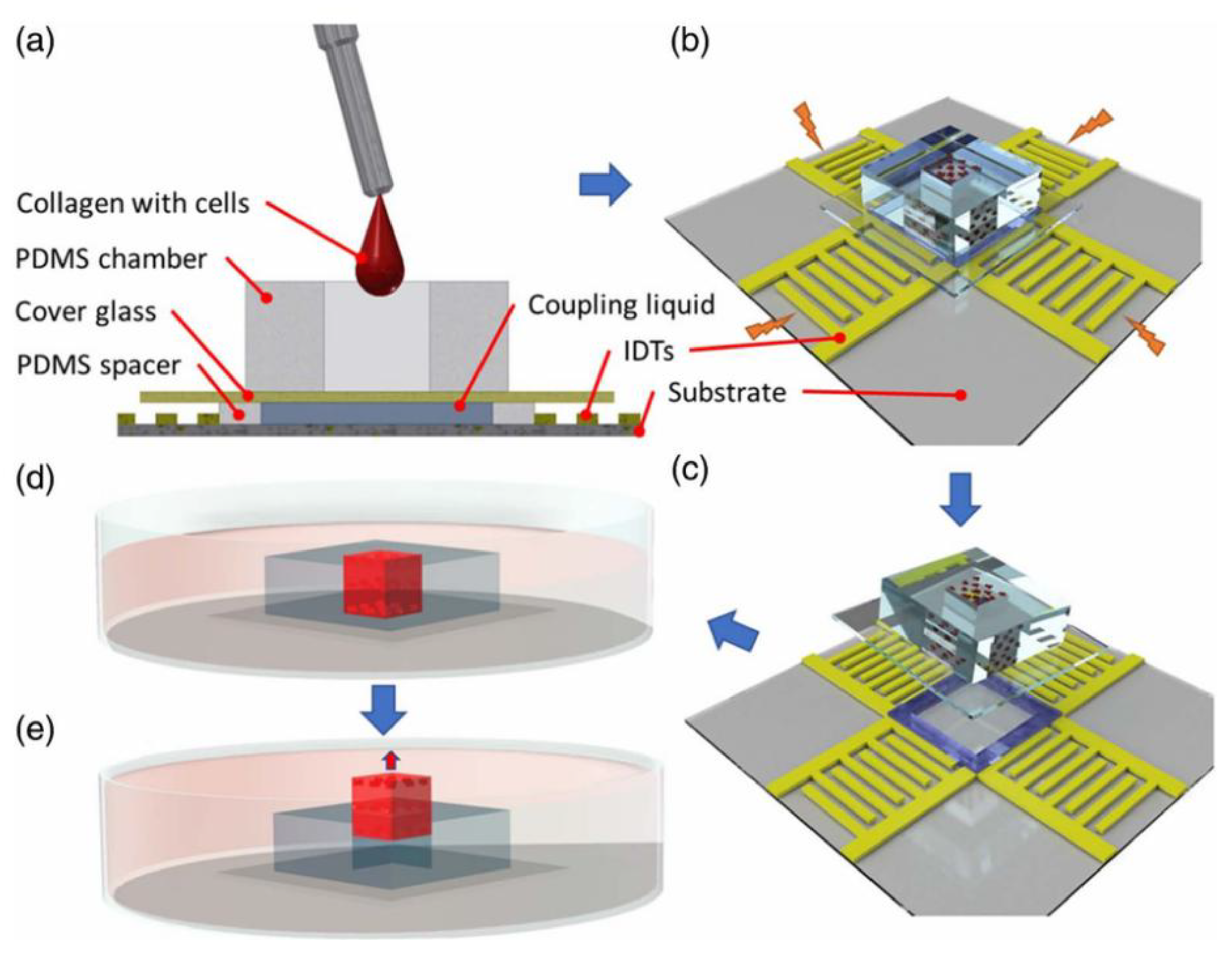Preprints 164062 g005