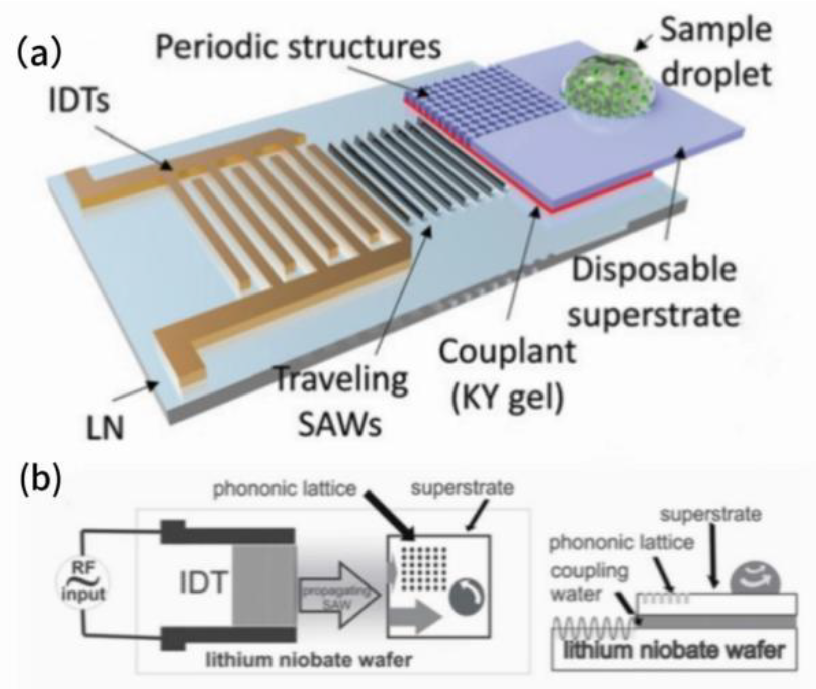 Preprints 164062 g007